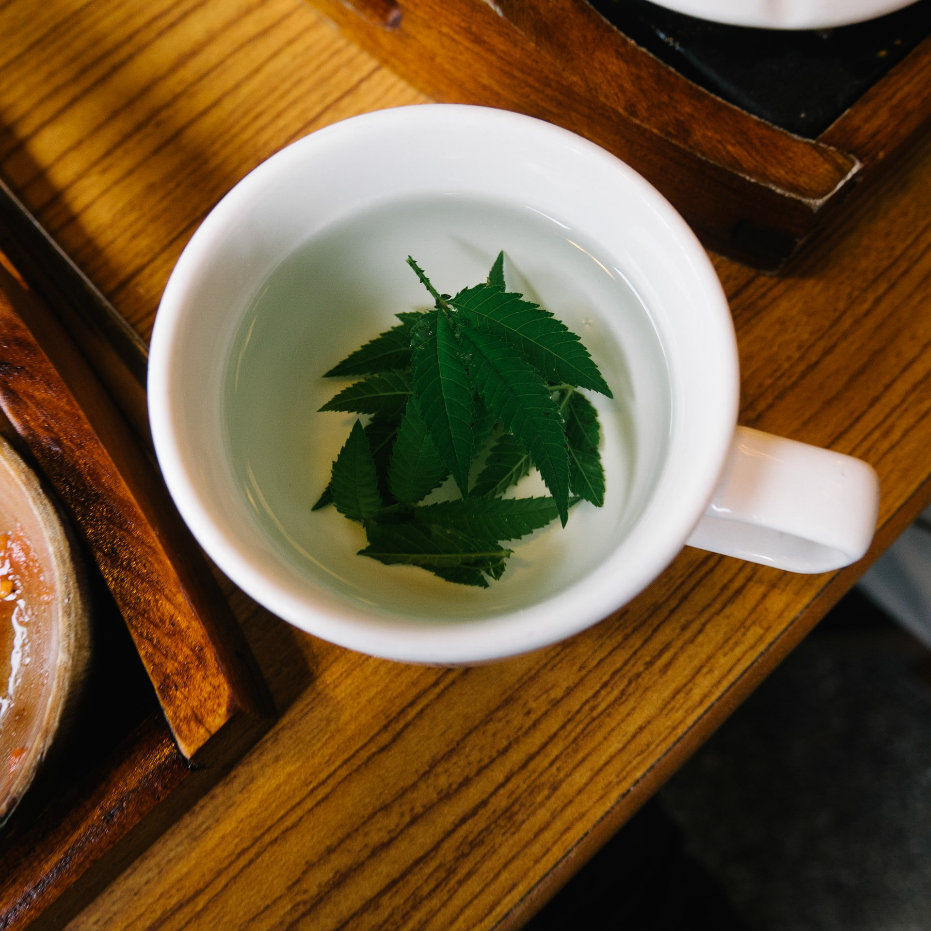 Infusion de menthe-citronnée localep