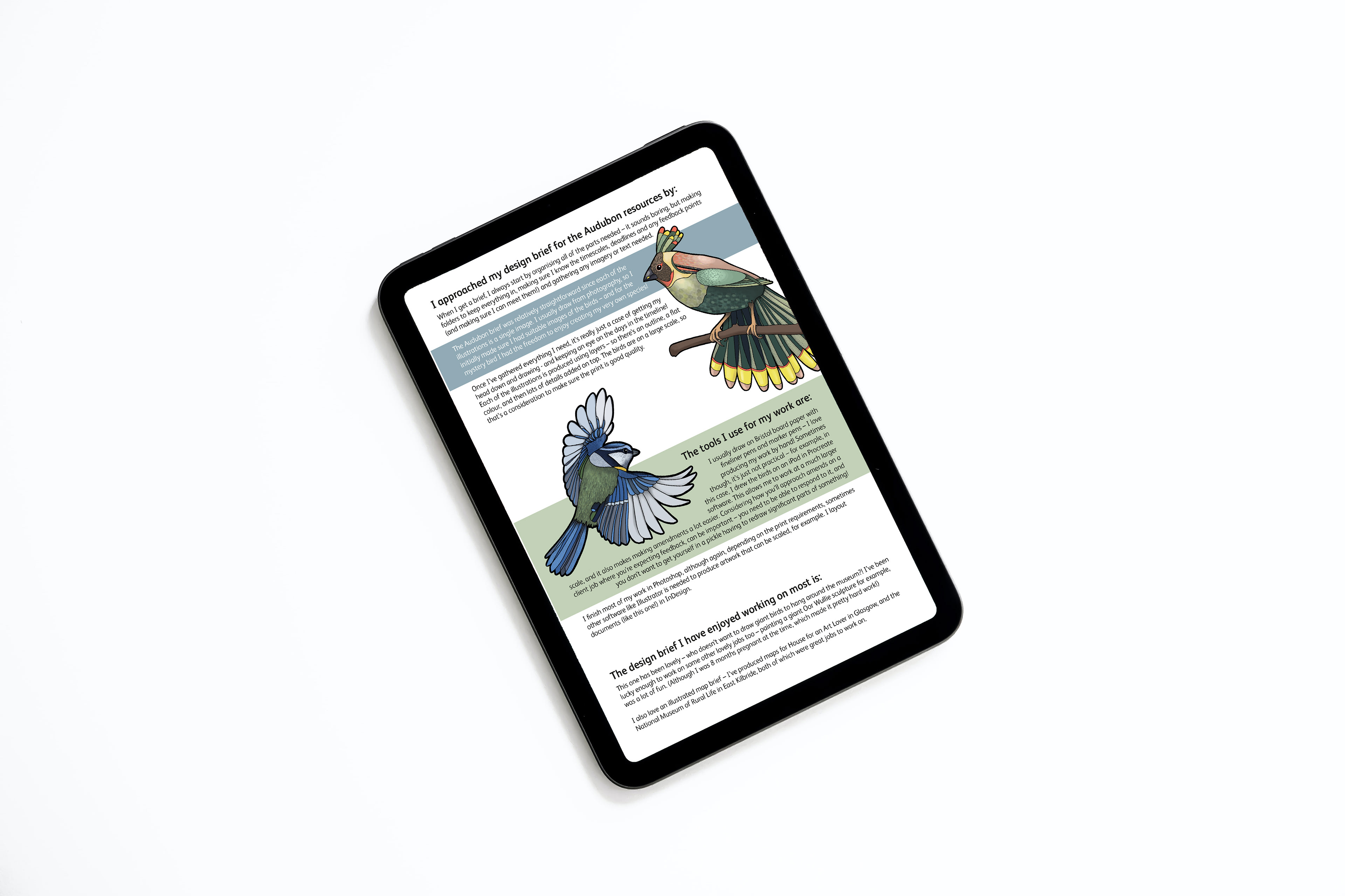 Case Study of my work as an illustrator