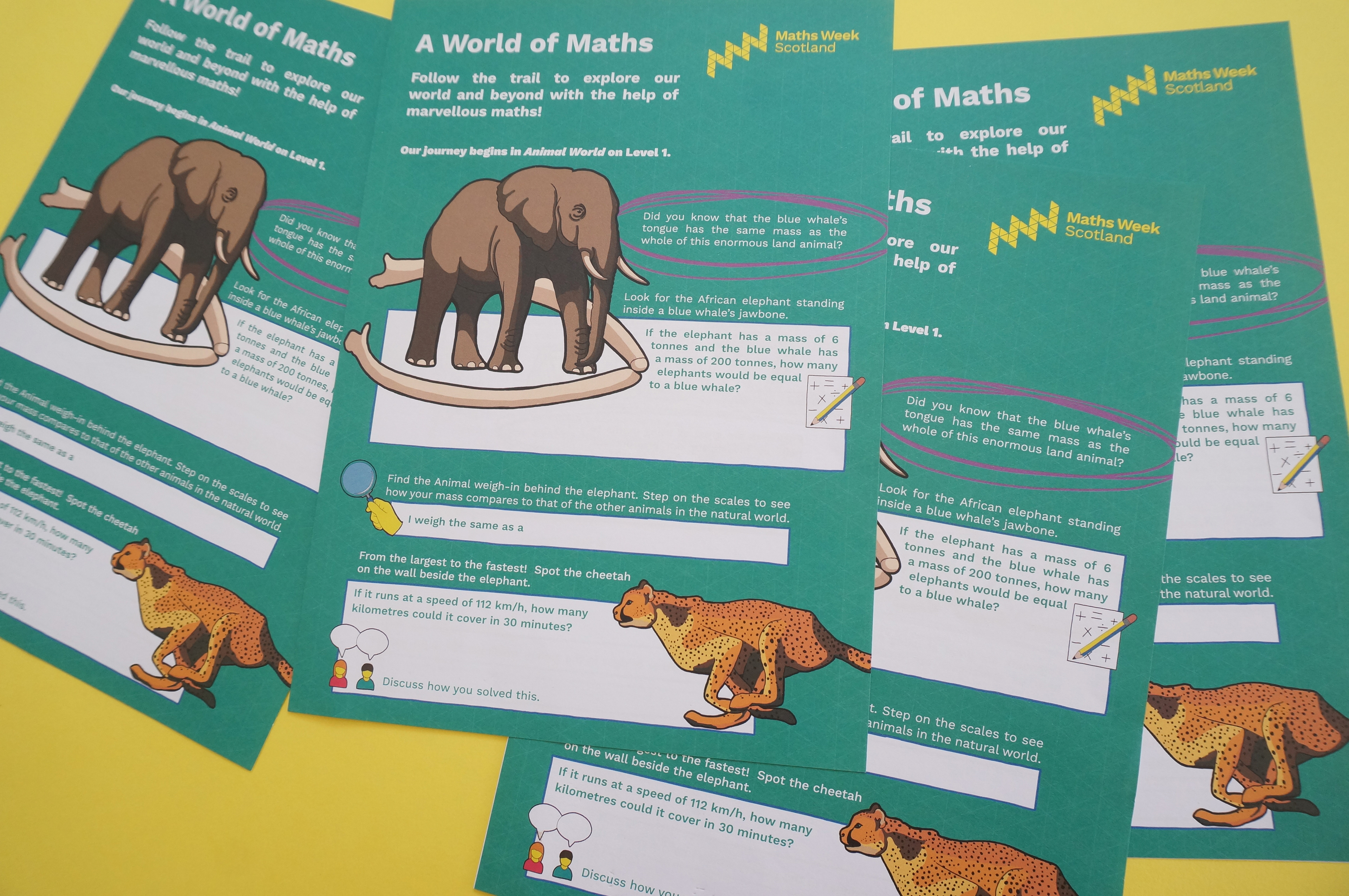 Front cover of the Maths Week Scotland trail handout