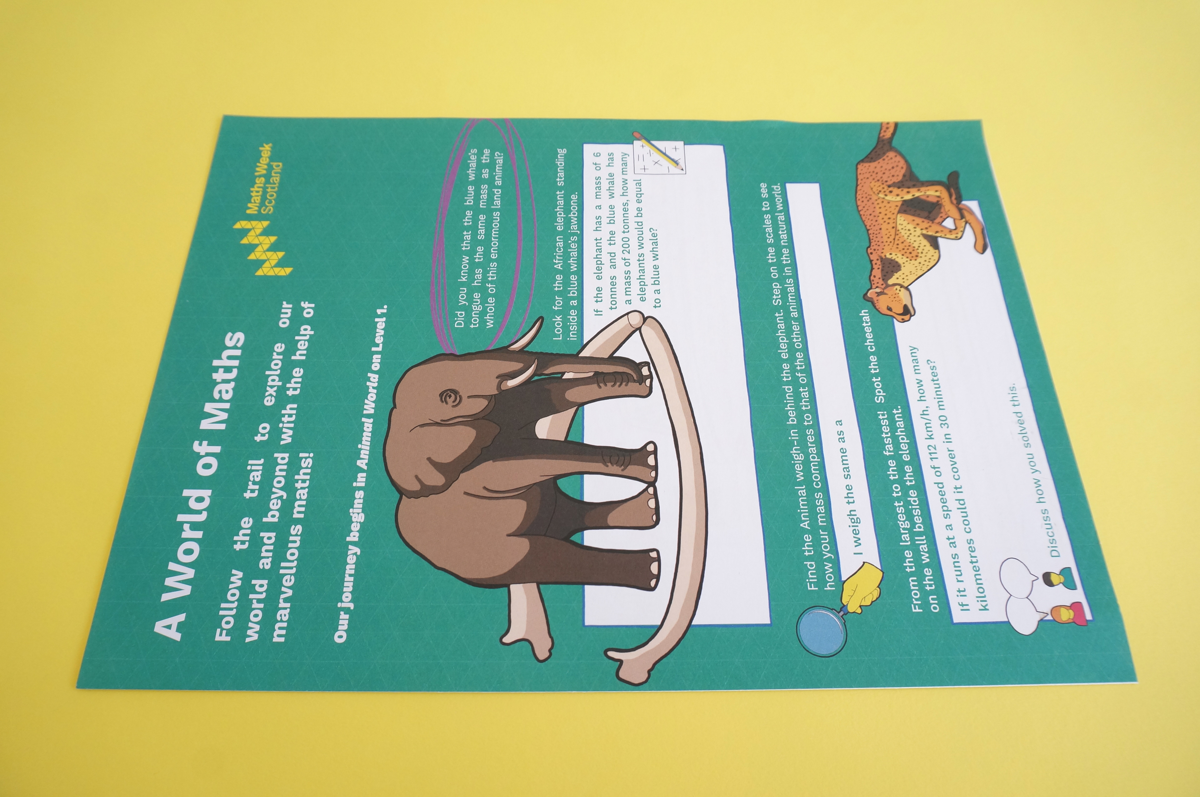 Front cover of the Maths Week Scotland trail handout
