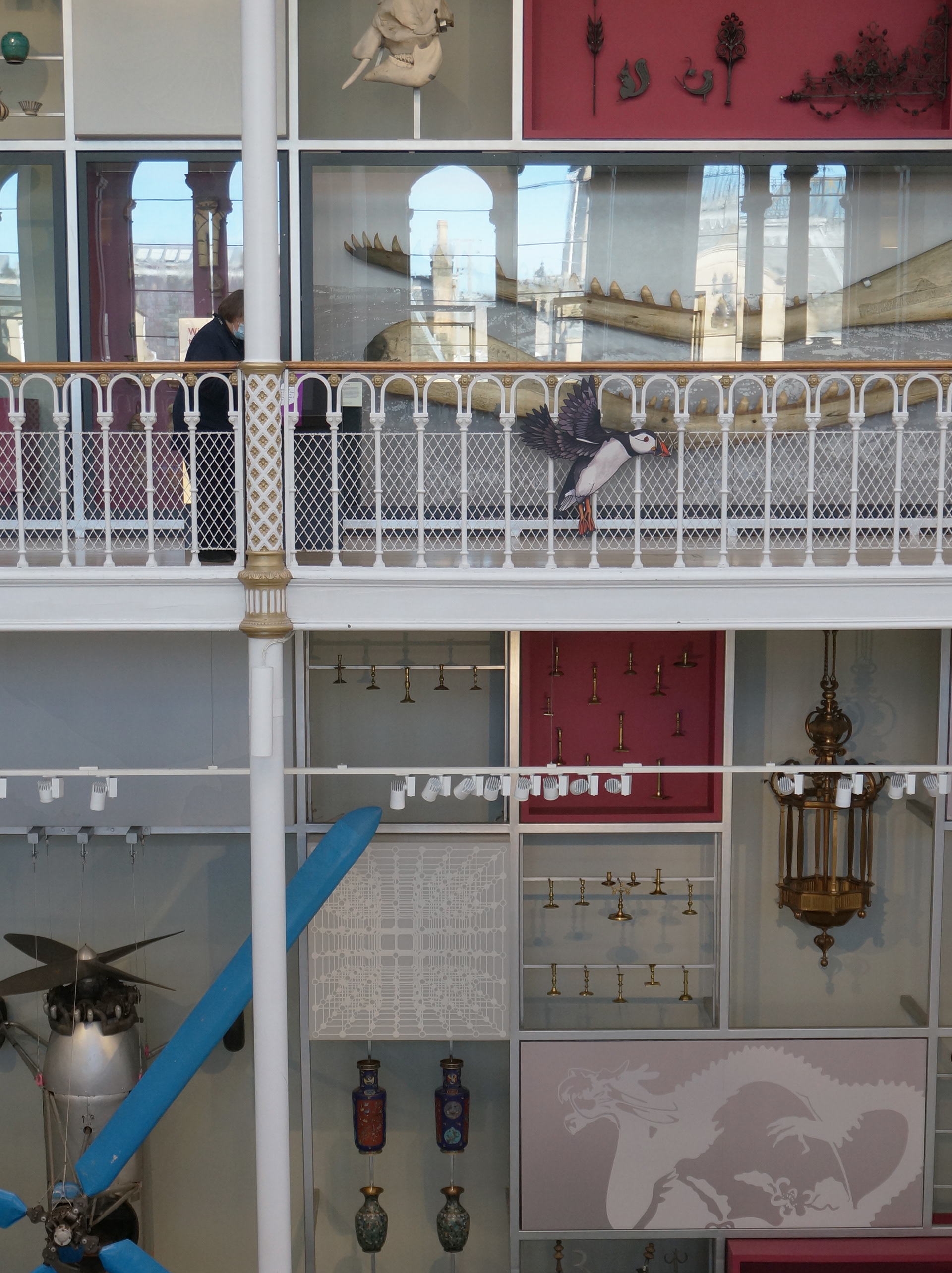 The Puffin in the Grand Gallery