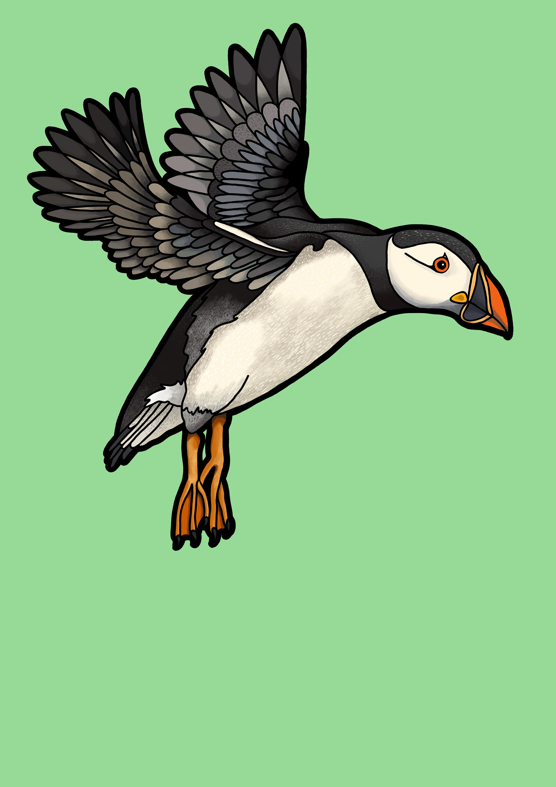 Laura's Birding Blog: Puffins! Distinctive Adaptations