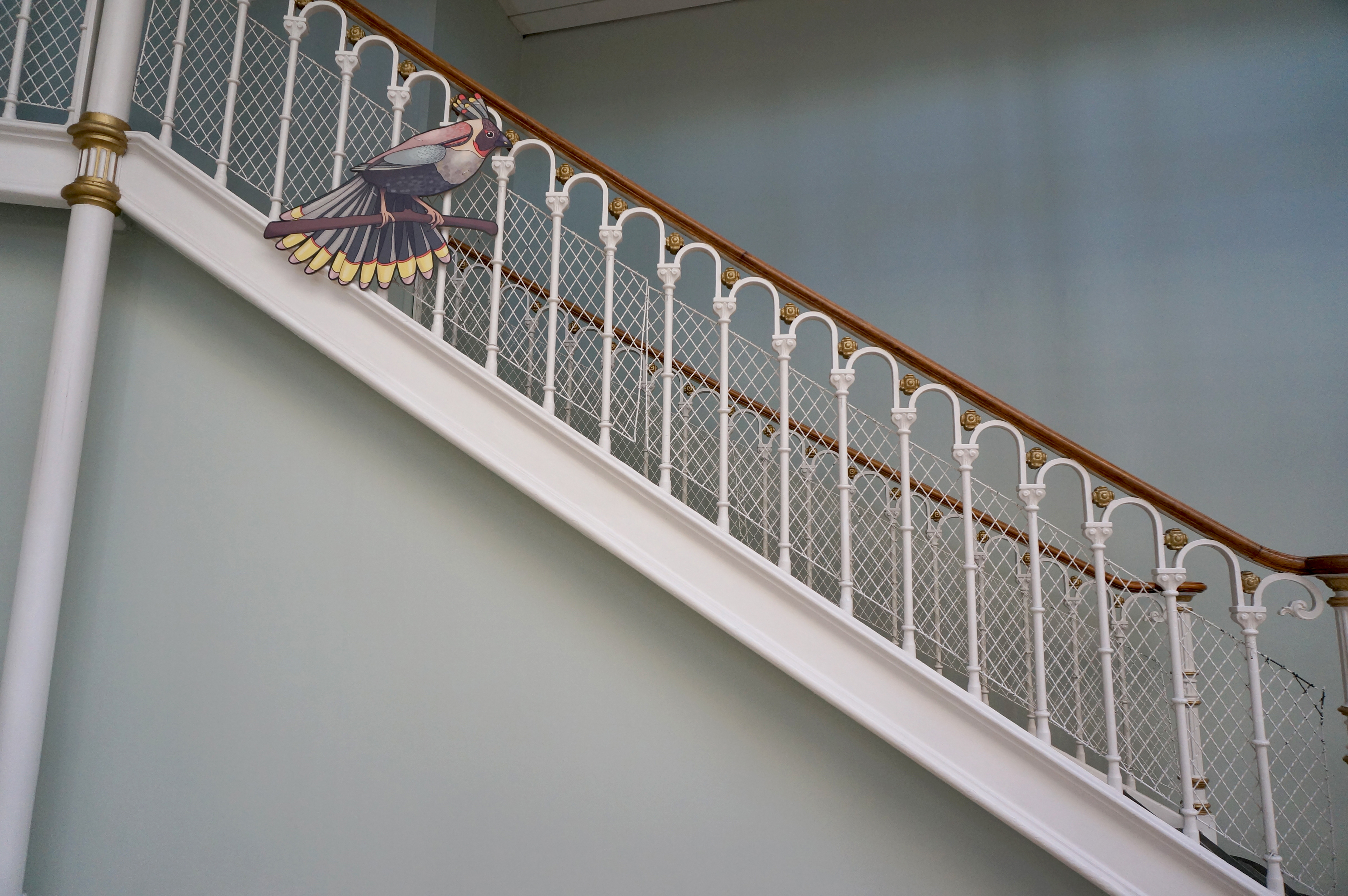 The Mystery Bird in the Grand Gallery