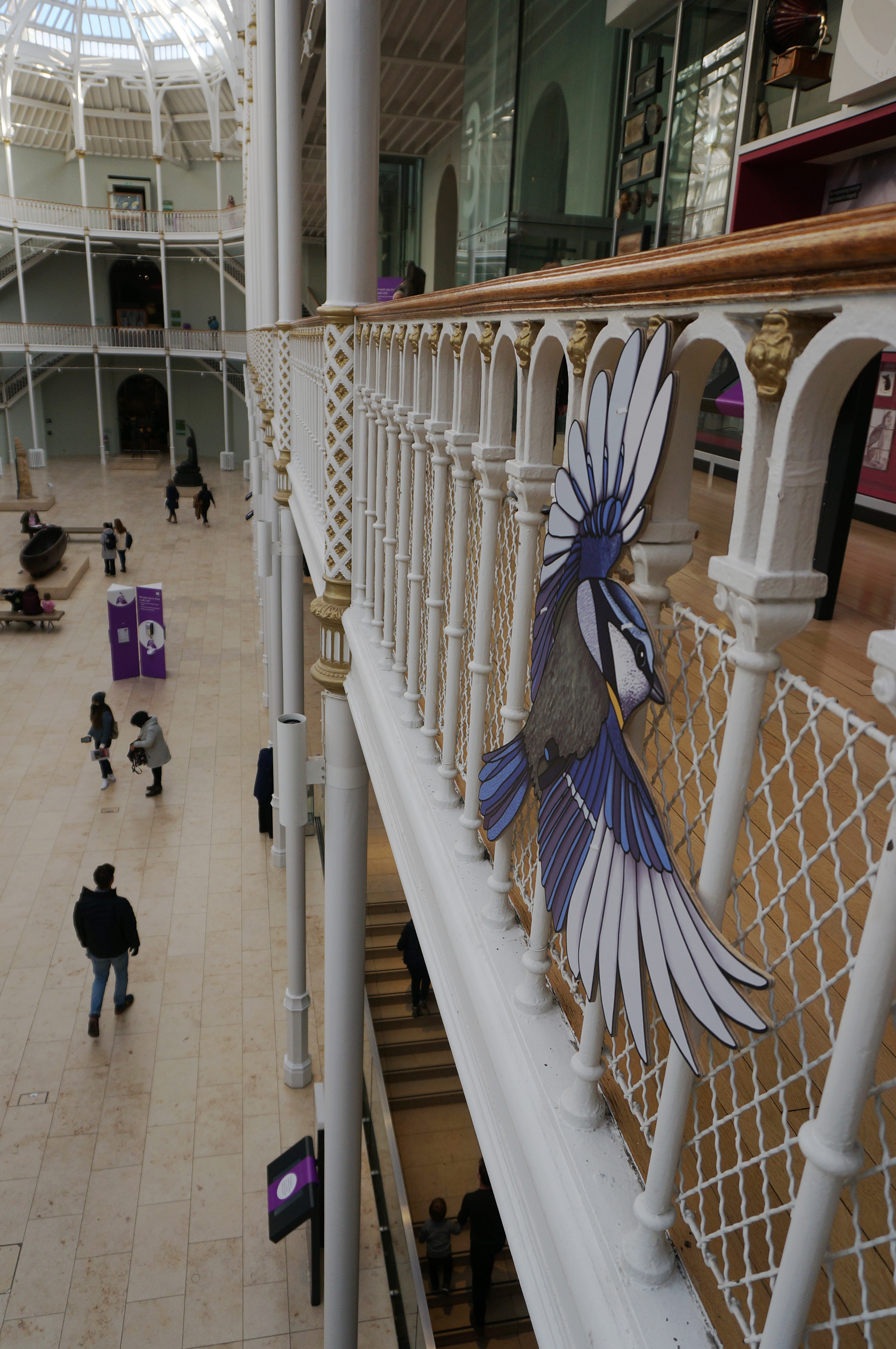 The Blue Tit in the Grand Gallery