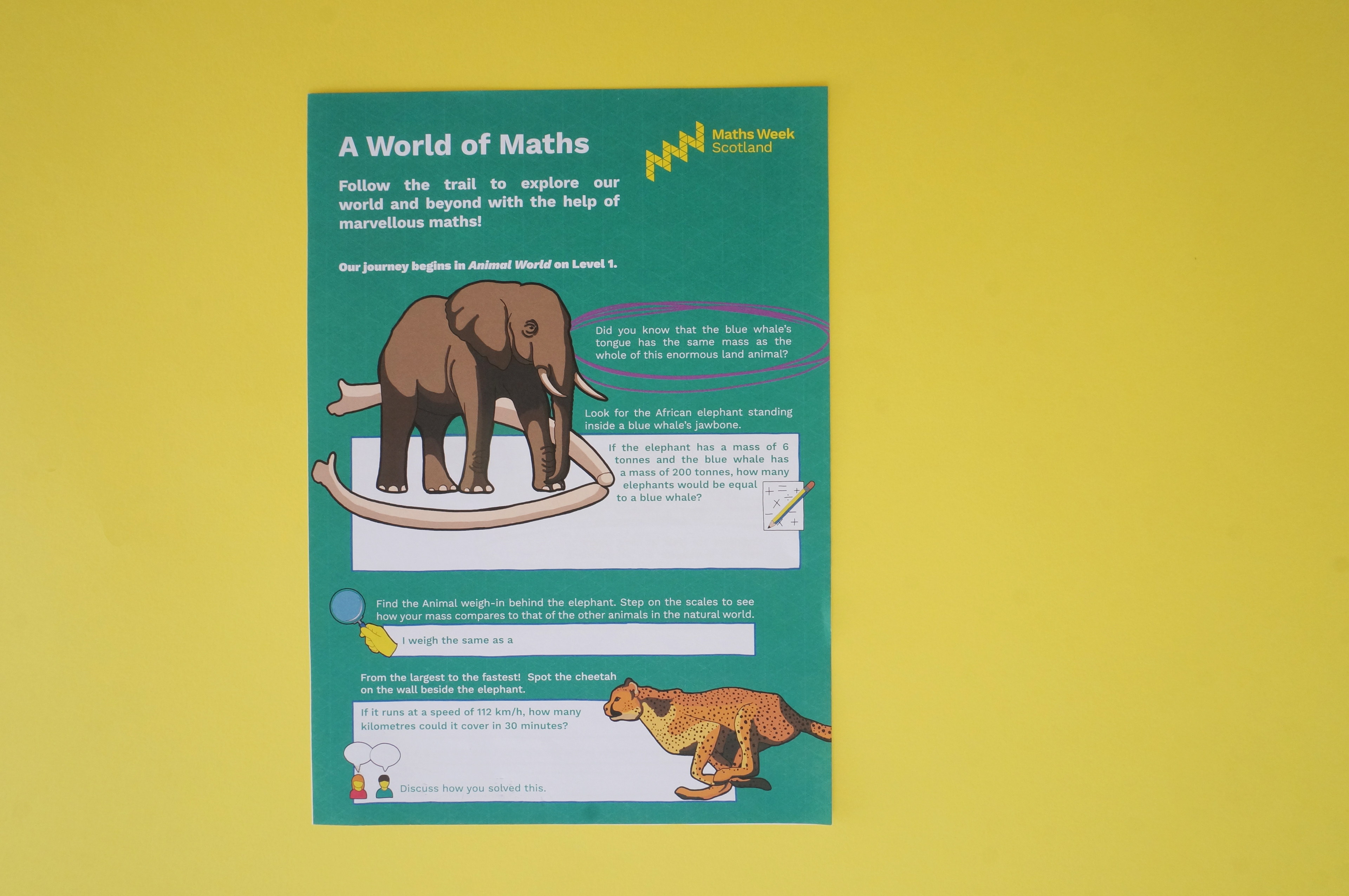 Front cover of the Maths Week Scotland trail handout