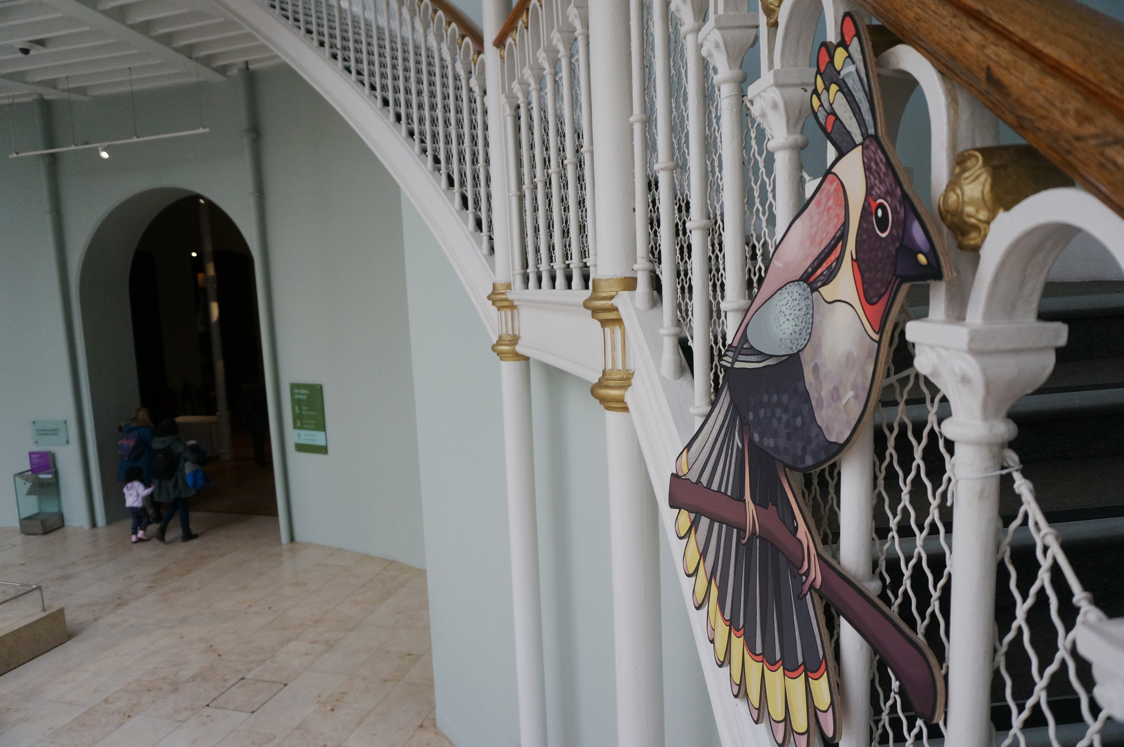 The Mystery Bird in the Grand Gallery