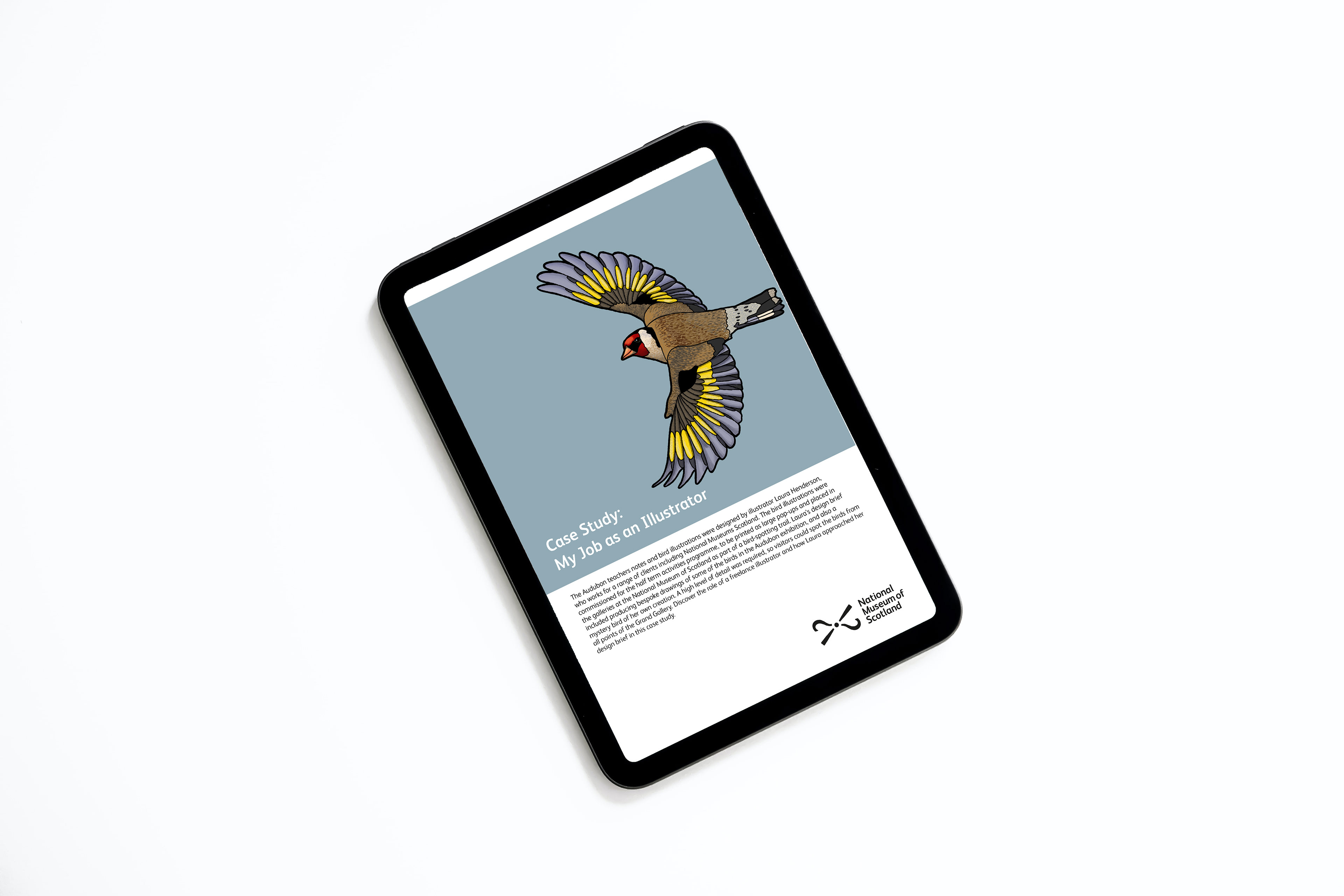 Case Study of my work as an illustrator