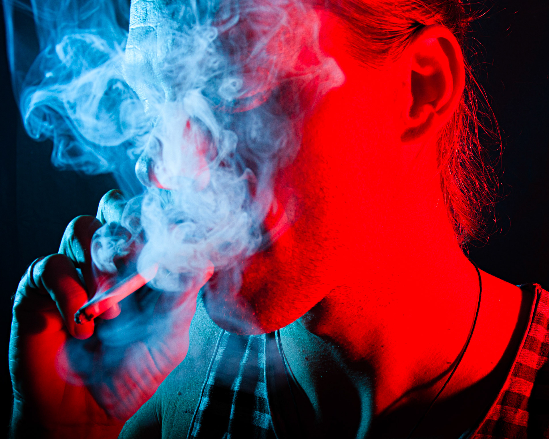 fabian schrijver [2022] [digital]