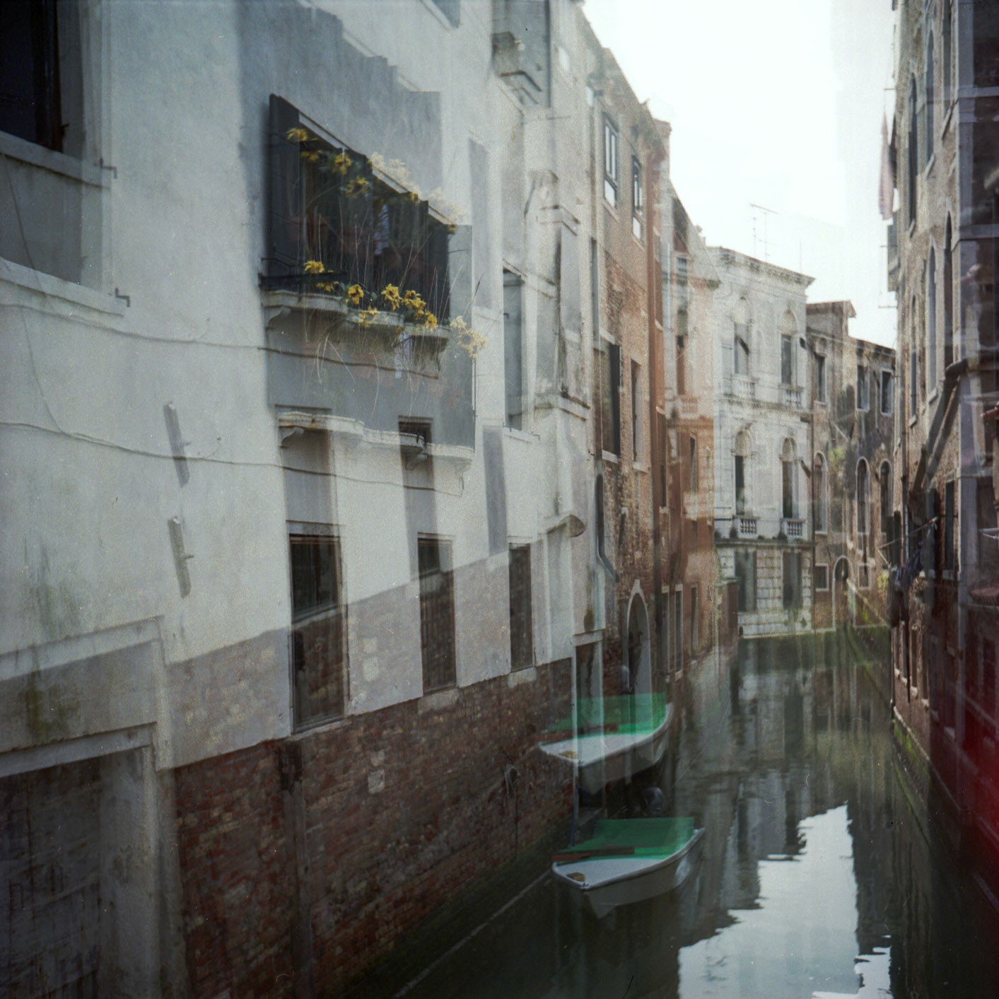 [venice 2016]