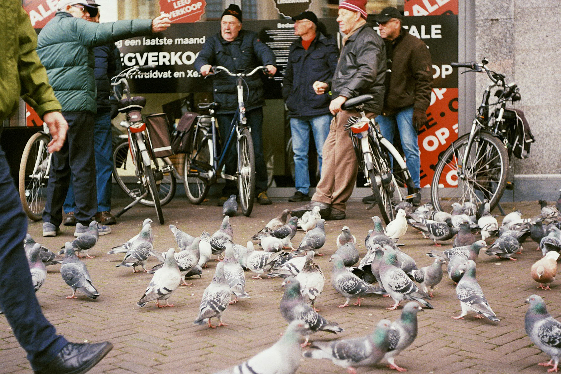 zwolse hangouderen [2019]