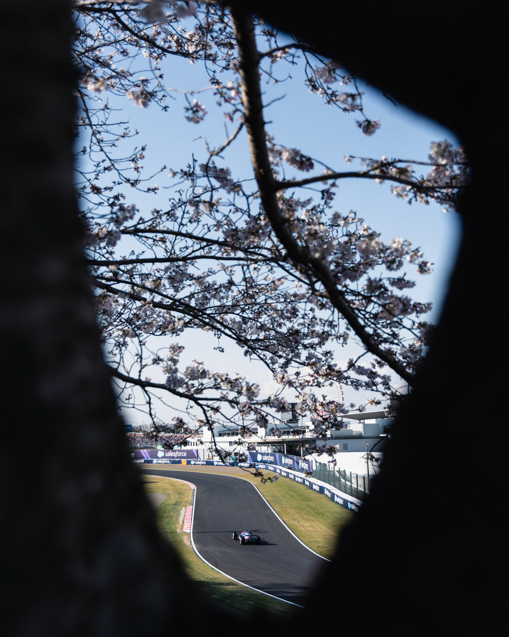 SUZUKA, Japan - MARCH 27: during Formula 1 - Japanese Grand Prix 2026 at Suzuka Circuit on March 27, 2026 in Suzuka, Japan, (Photo by Jack Ng/Alamy Live News)