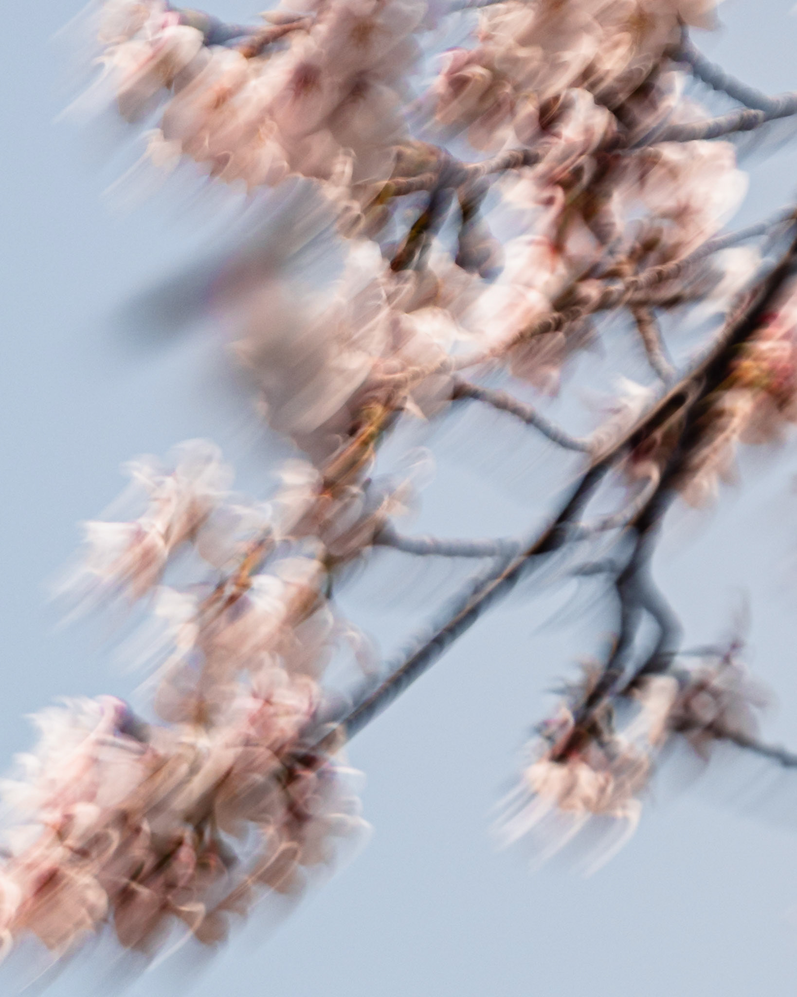 SUZUKA, Japan - MARCH 28: during Formula 1 - Japanese Grand Prix 2026 at Suzuka Circuit on March 28, 2026 in Suzuka, Japan, (Photo by Jack Ng/Alamy Live News)