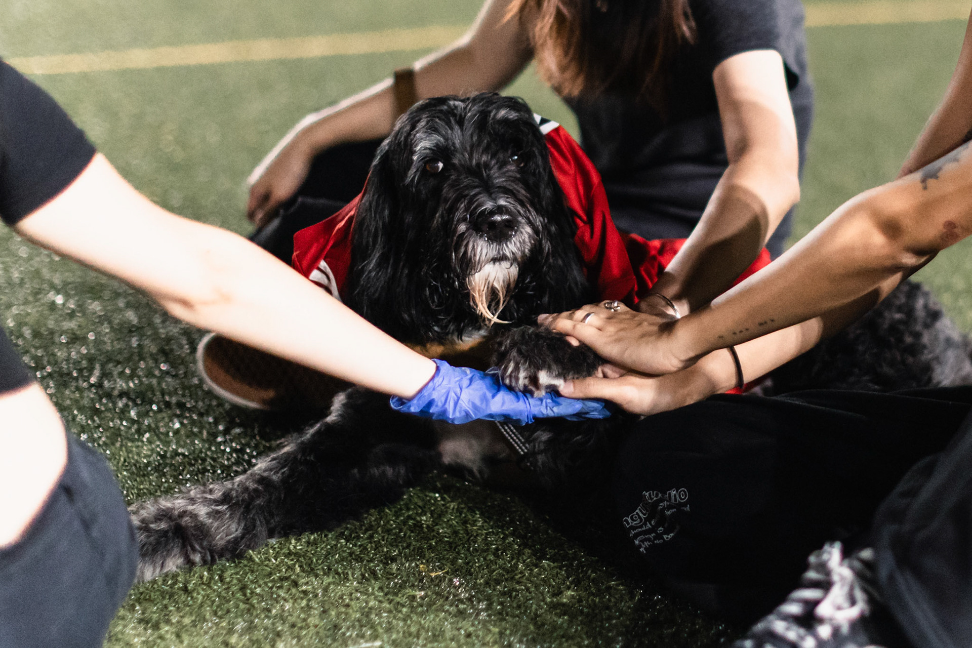HONG KONG, China - SEPTEMBER  30:  during Champions 3 Cup at Chealsea Soccer Pitch on September 30, 2025 in Hong Kong, China, (Photo by Jack Ng/Pixel Images)