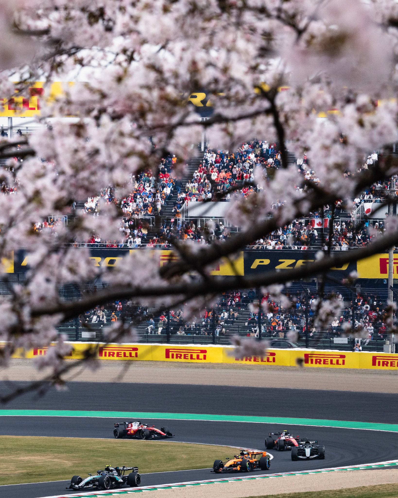 SUZUKA, Japan - MARCH 29: during Formula 1 - Japanese Grand Prix 2026 at Suzuka Circuit on March 29, 2026 in Suzuka, Japan, (Photo by Jack Ng/Alamy Live News)