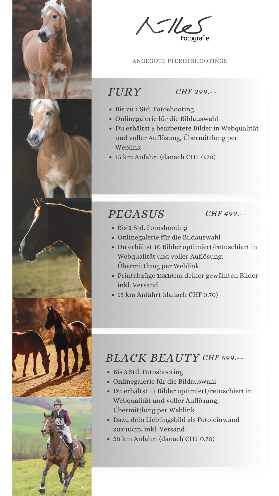 Angebote Pferdeshootings
