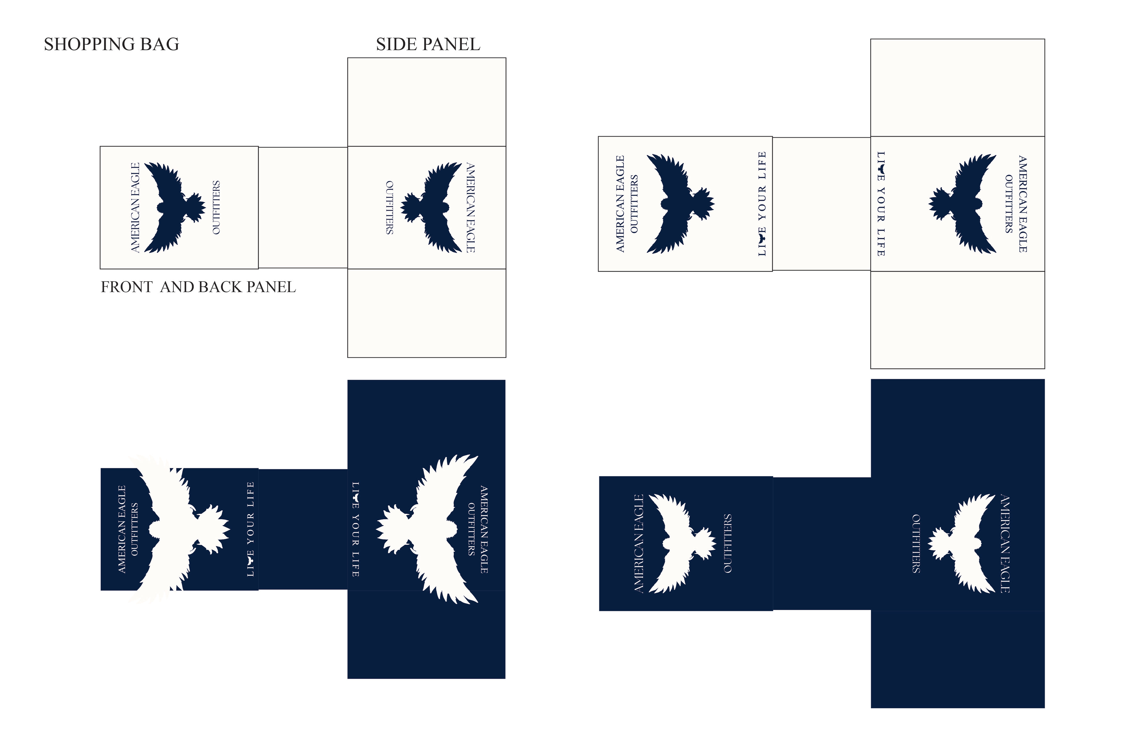 Concept Ideas for Shopping Bag