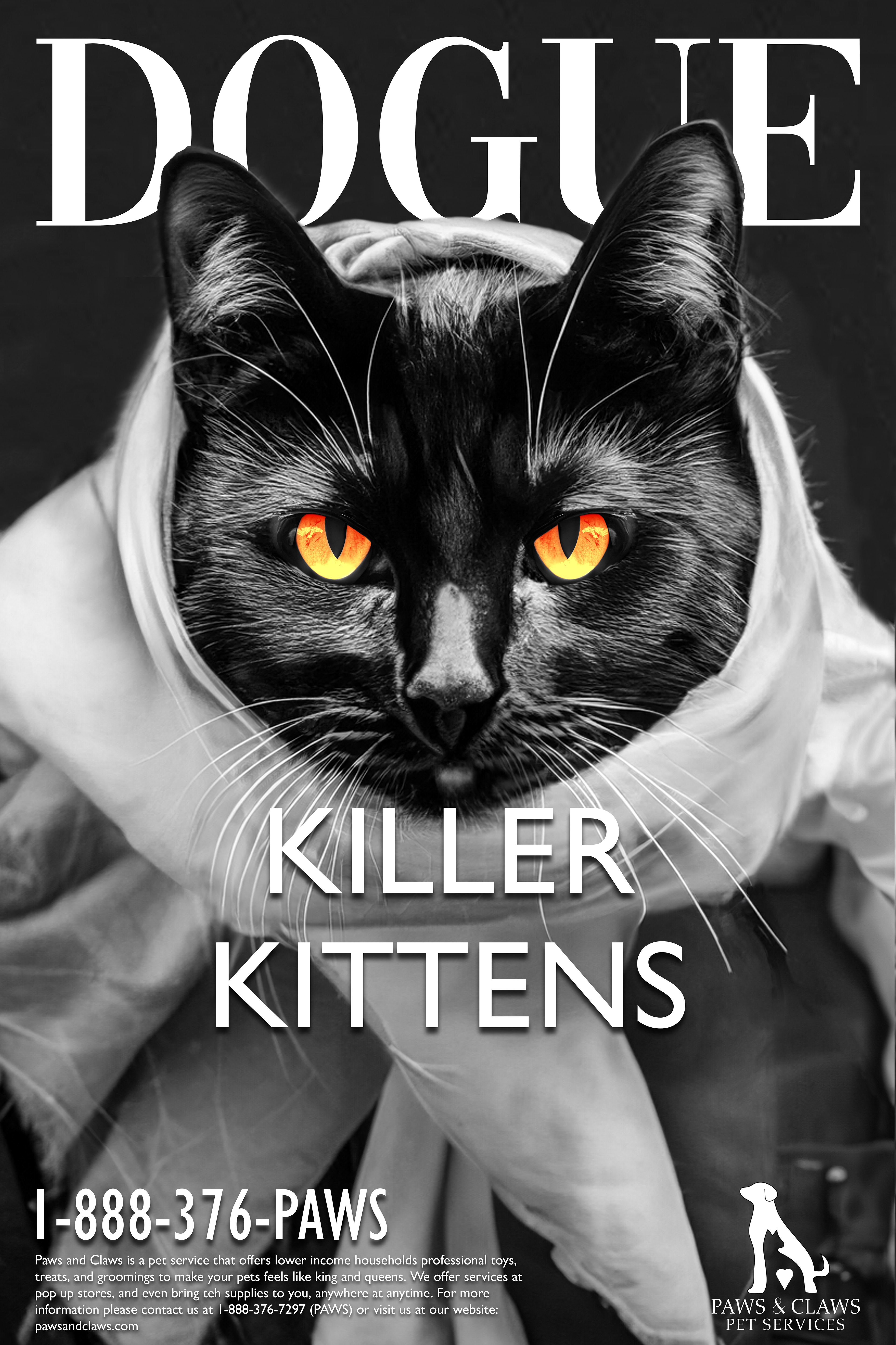 Cat Poster with Orange Colored Eyes