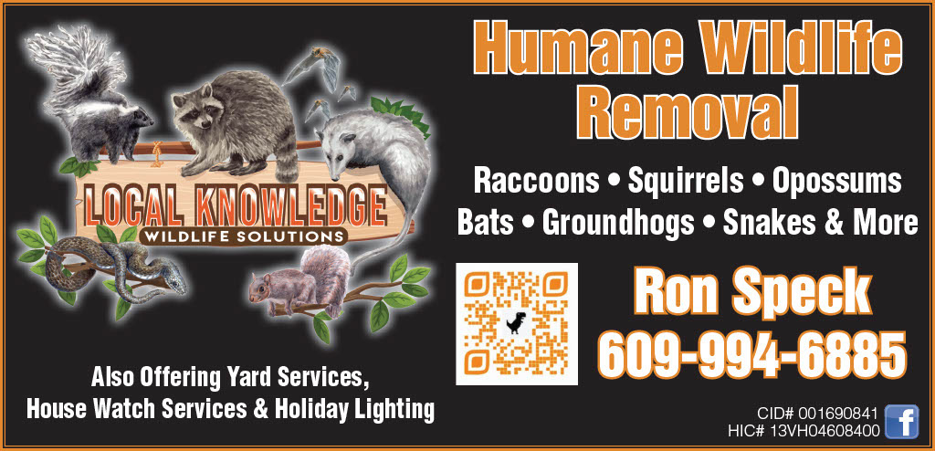 Homefront - Local Knowledge Wild Life Removal