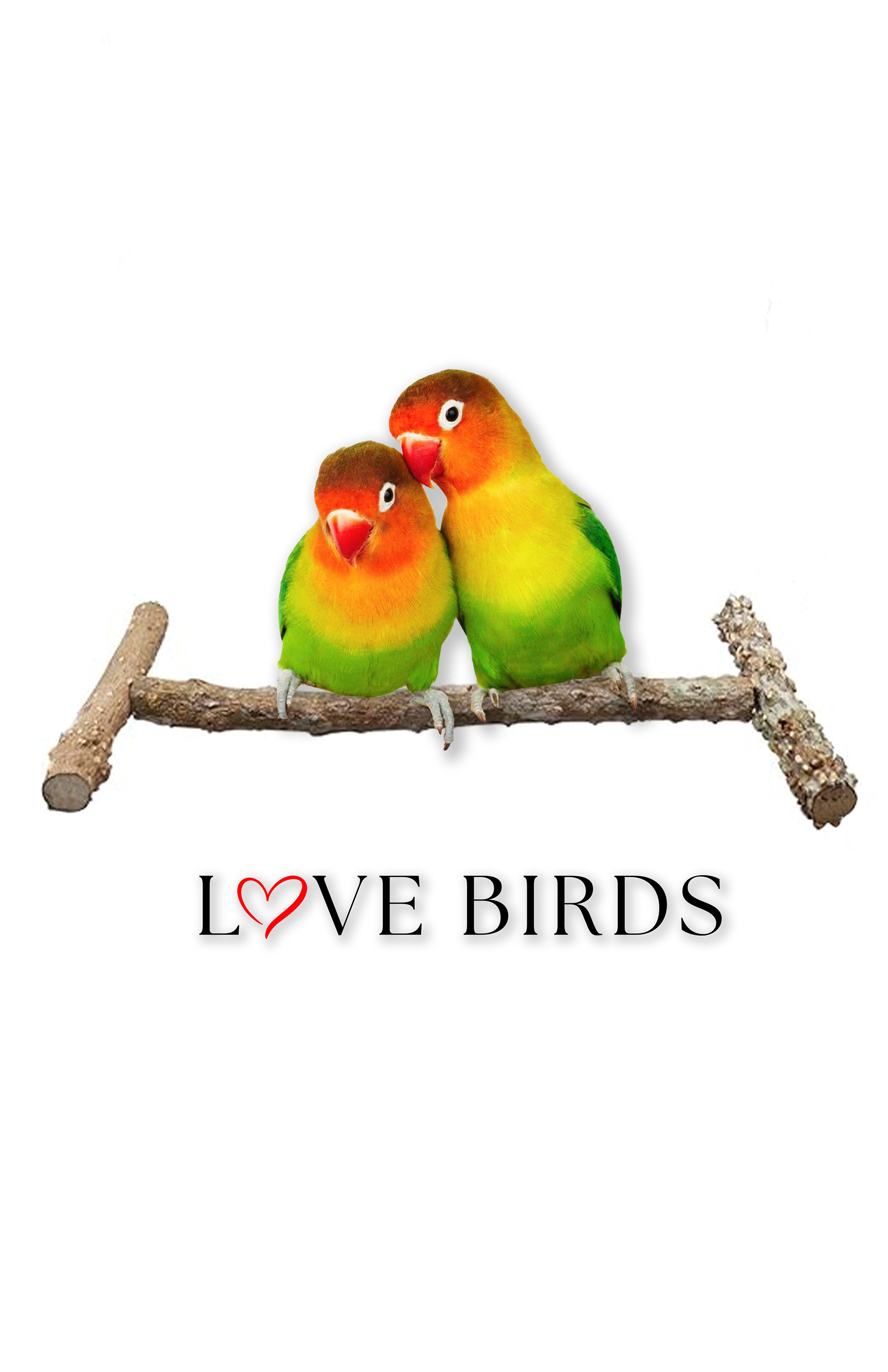Front facing panel with two love birds on a swing