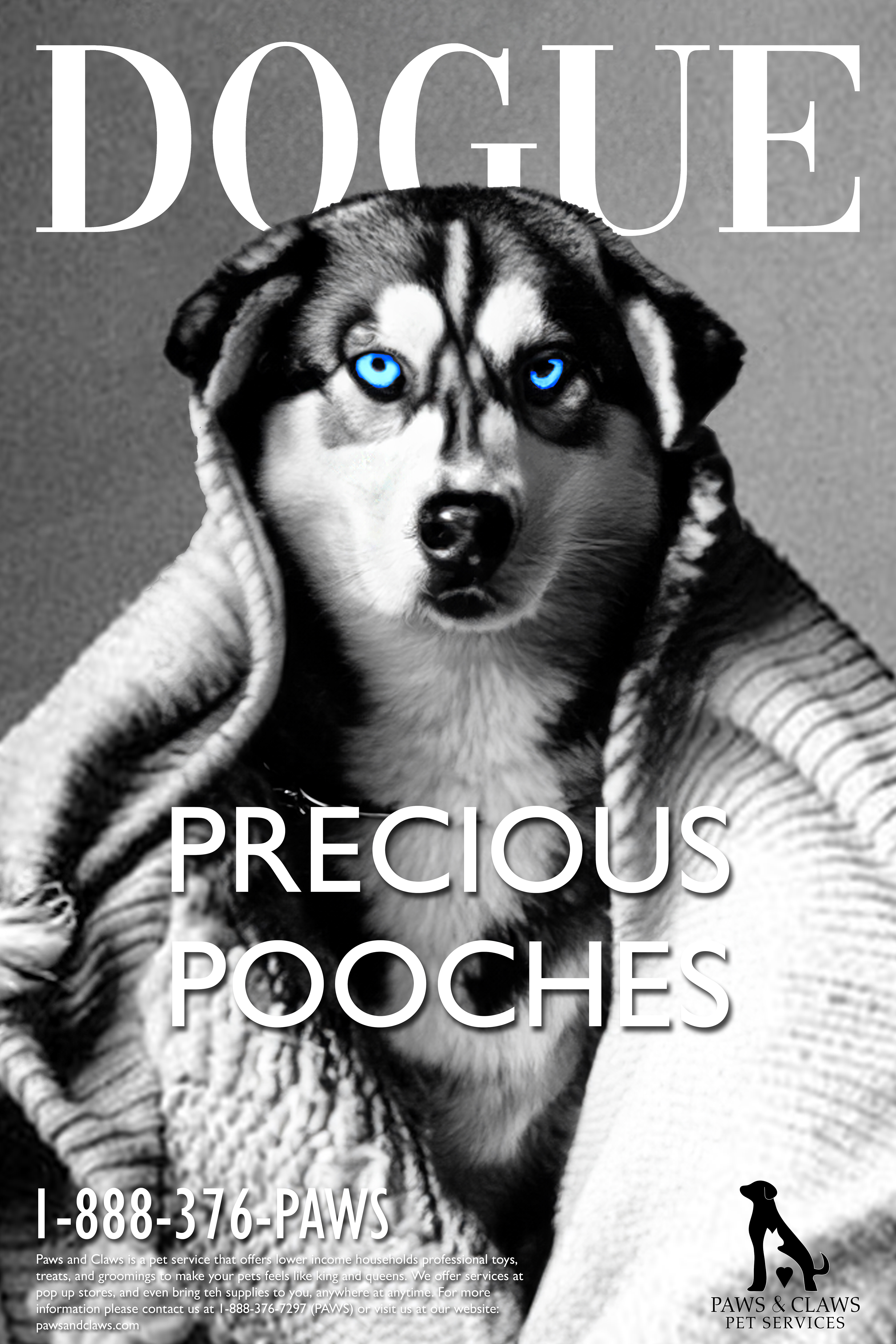 Dog Poster with Blue Colored Eyes