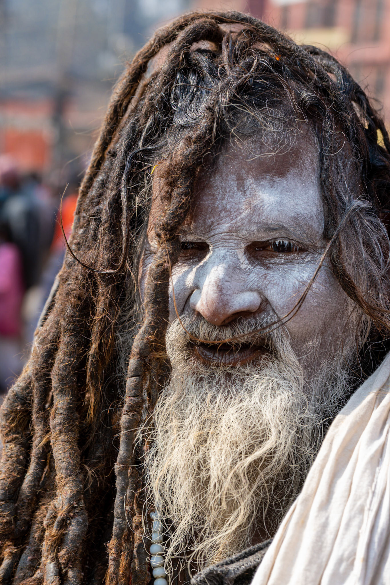 Les sadhus ! Ils ont renoncé au confort de la société pour se consacrer à la quête spirituelle ultime. Ils accordent volontiers leur bénédiction à tous ceux qui le demandent en échange d'une offrande.