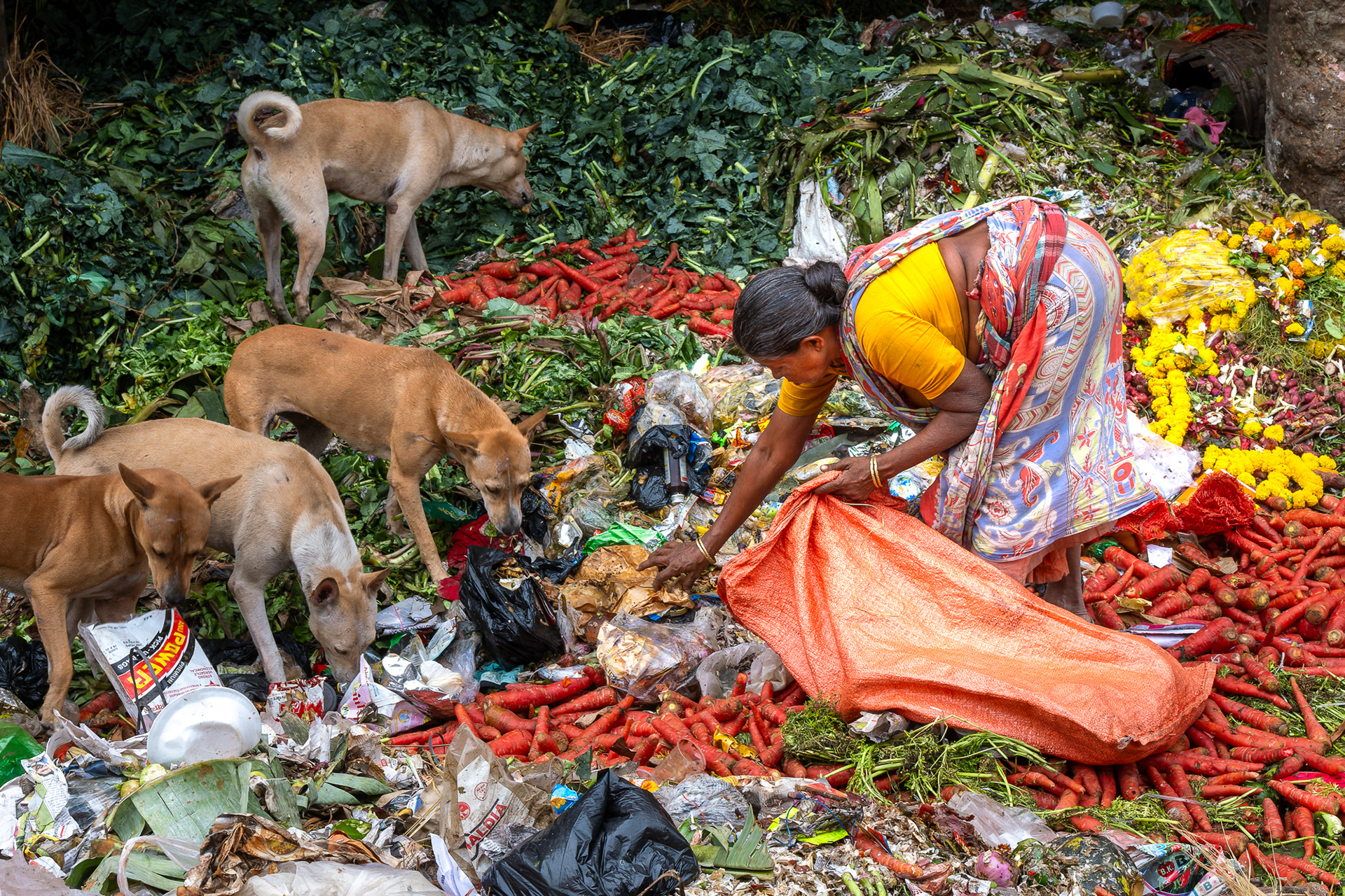 Tas d'ordures sur le marché aux légumes de Calcutta. Ce qui me choque, c'est pas la présence de la femme. Nous avons aussi des gens qui font les fins de marché chez nous. Ce qui me choque, ce sont les chiens qui mangent des légumes. Chez nous, ils mangent des croquettes