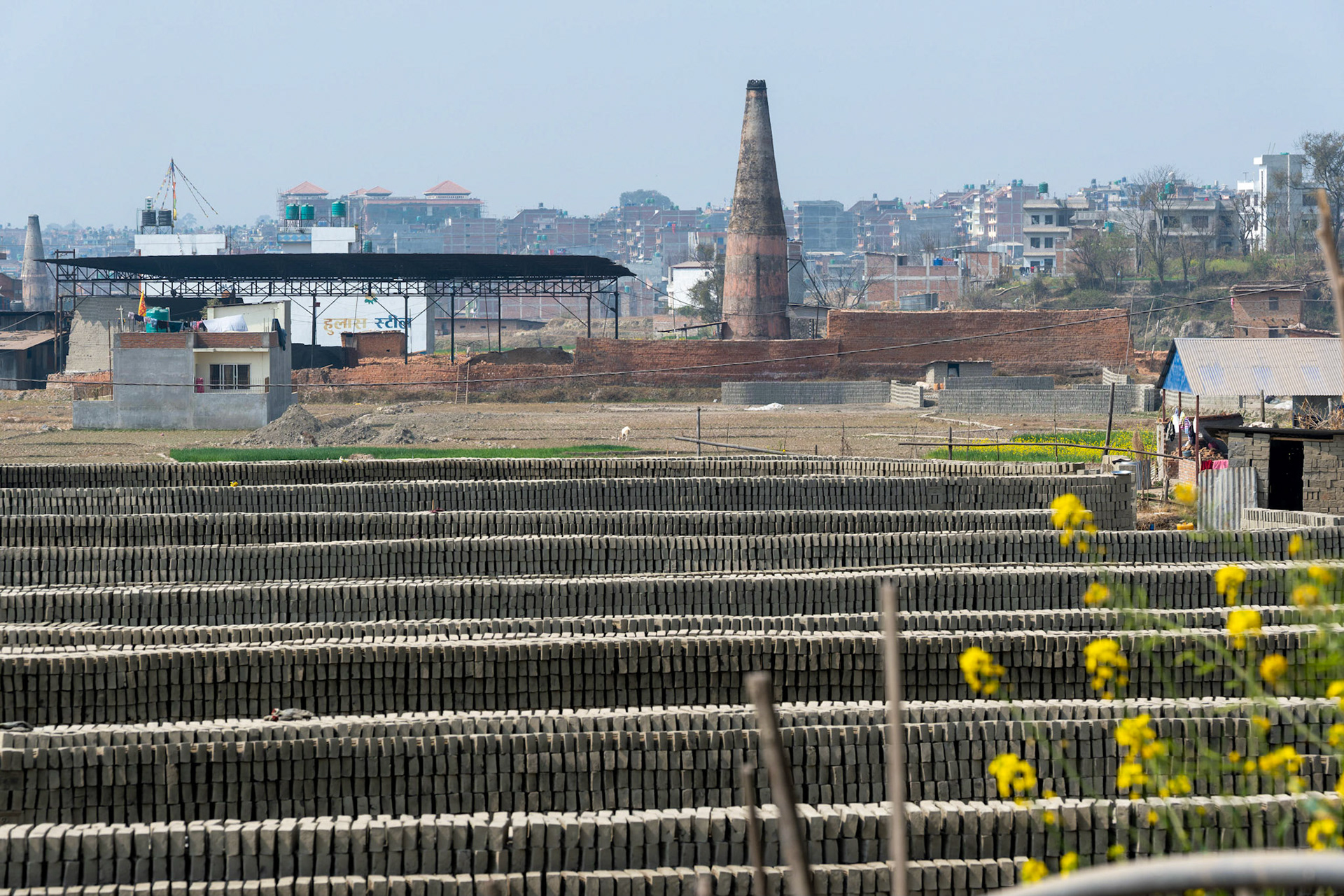 Les briques sont empilées en murets. Mais attention, pas n'importe comment. Elles sont installées en quinconce afin de permettre la circulation de l'air et donc, un séchage plus rapide.