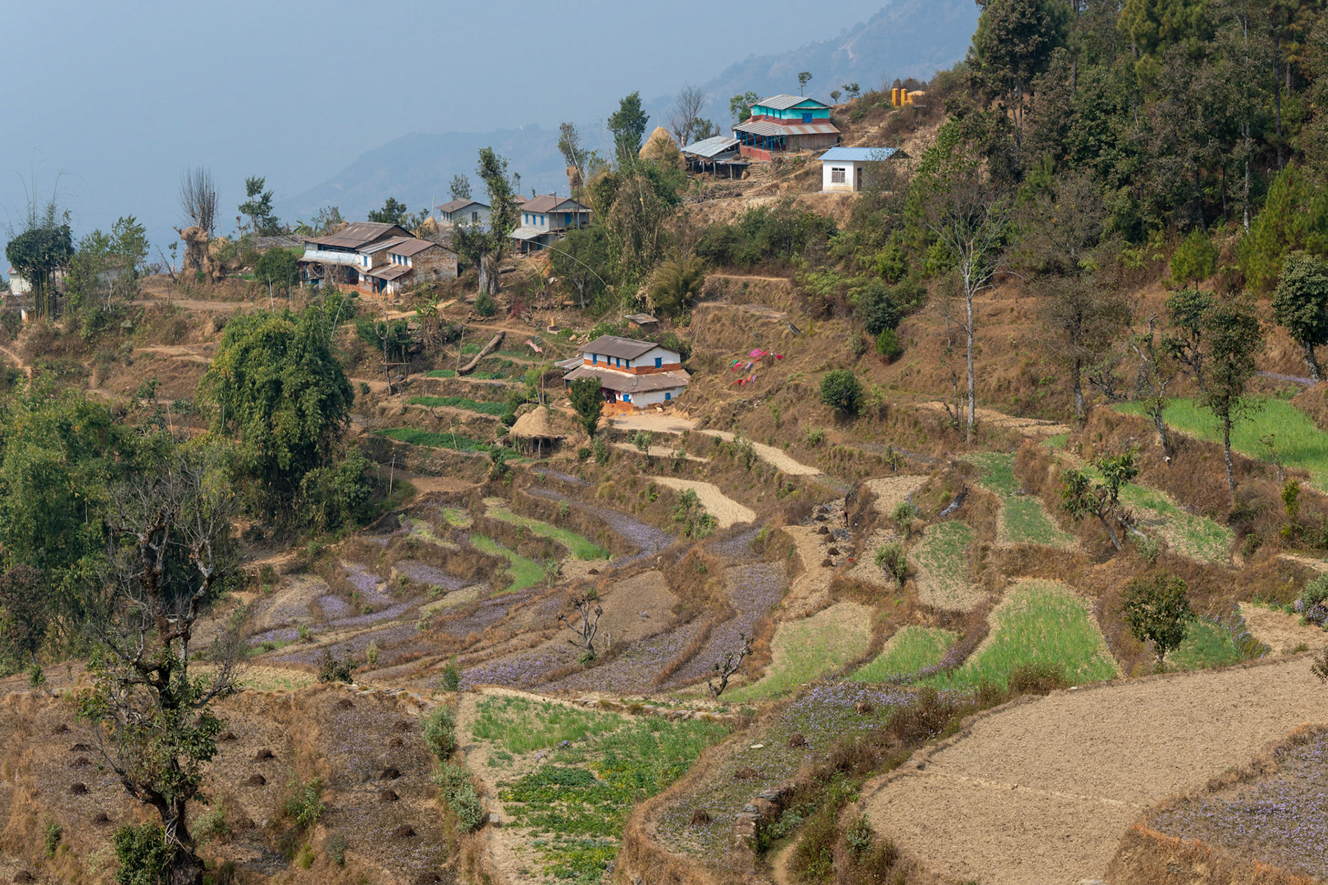 Le relief oblige les paysans à adopter une agriculture en terrasse.