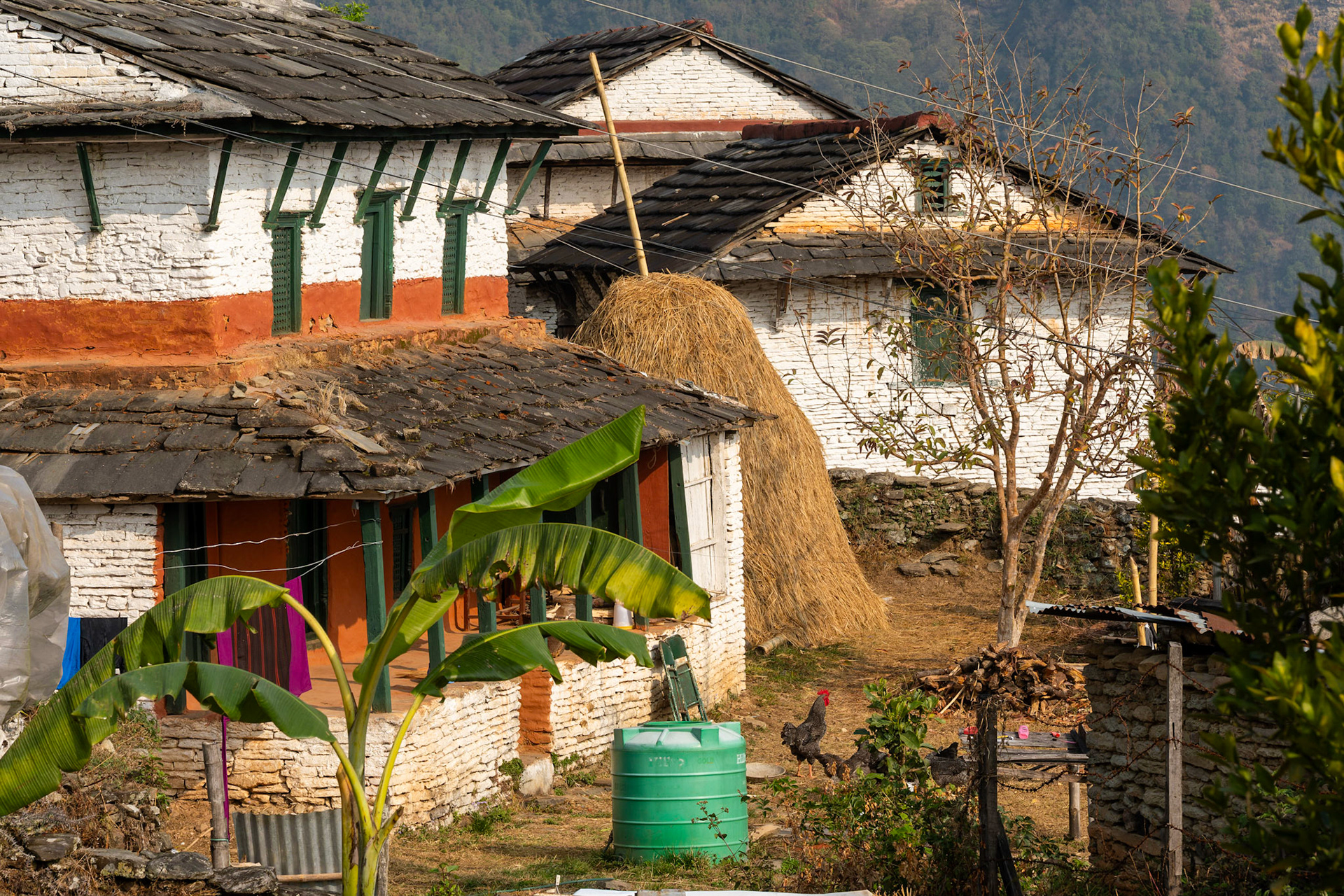 Dans la fraîcheur du matin, le village s'éveille doucement.