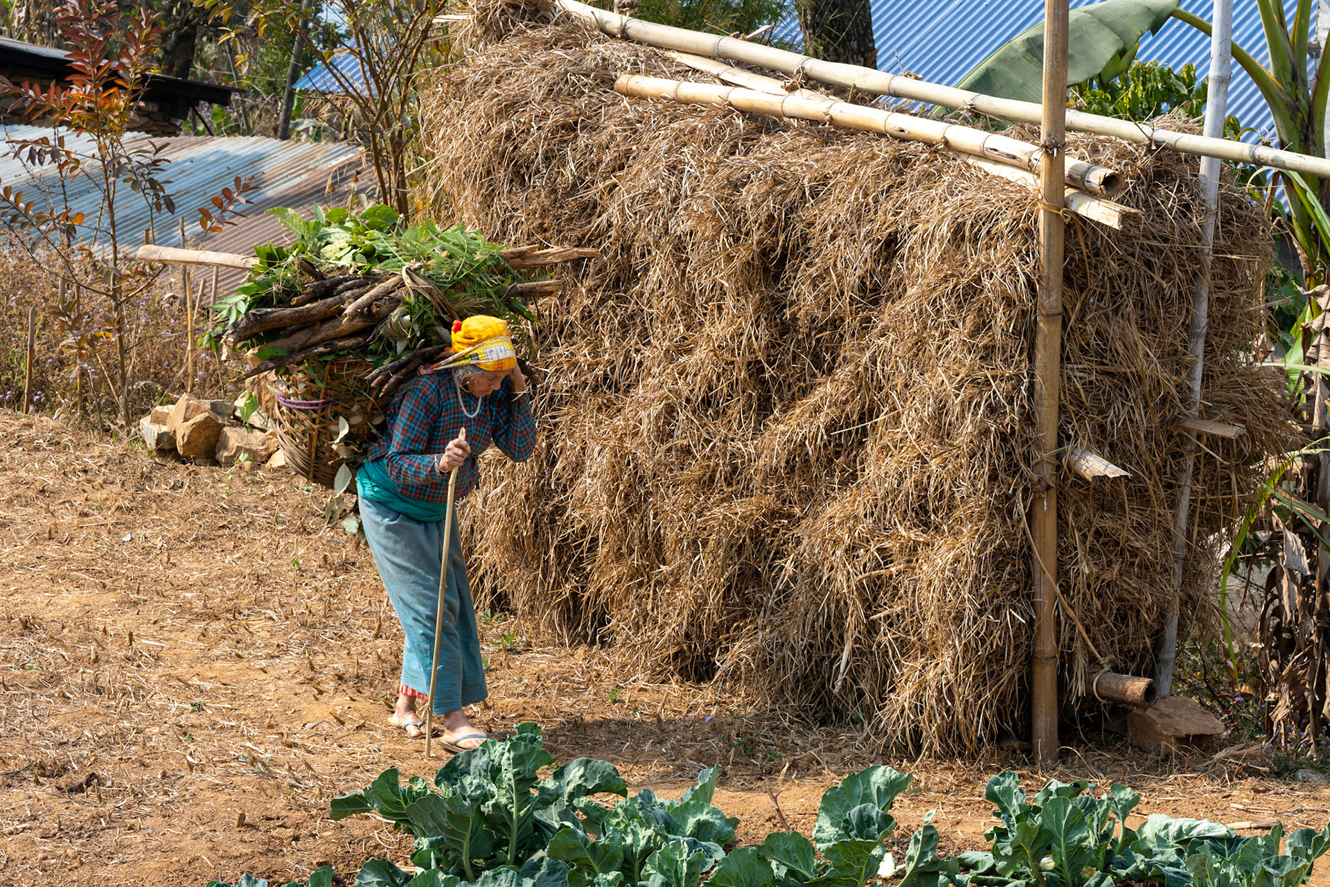 Ici, tout le monde travaille. Question de survie.