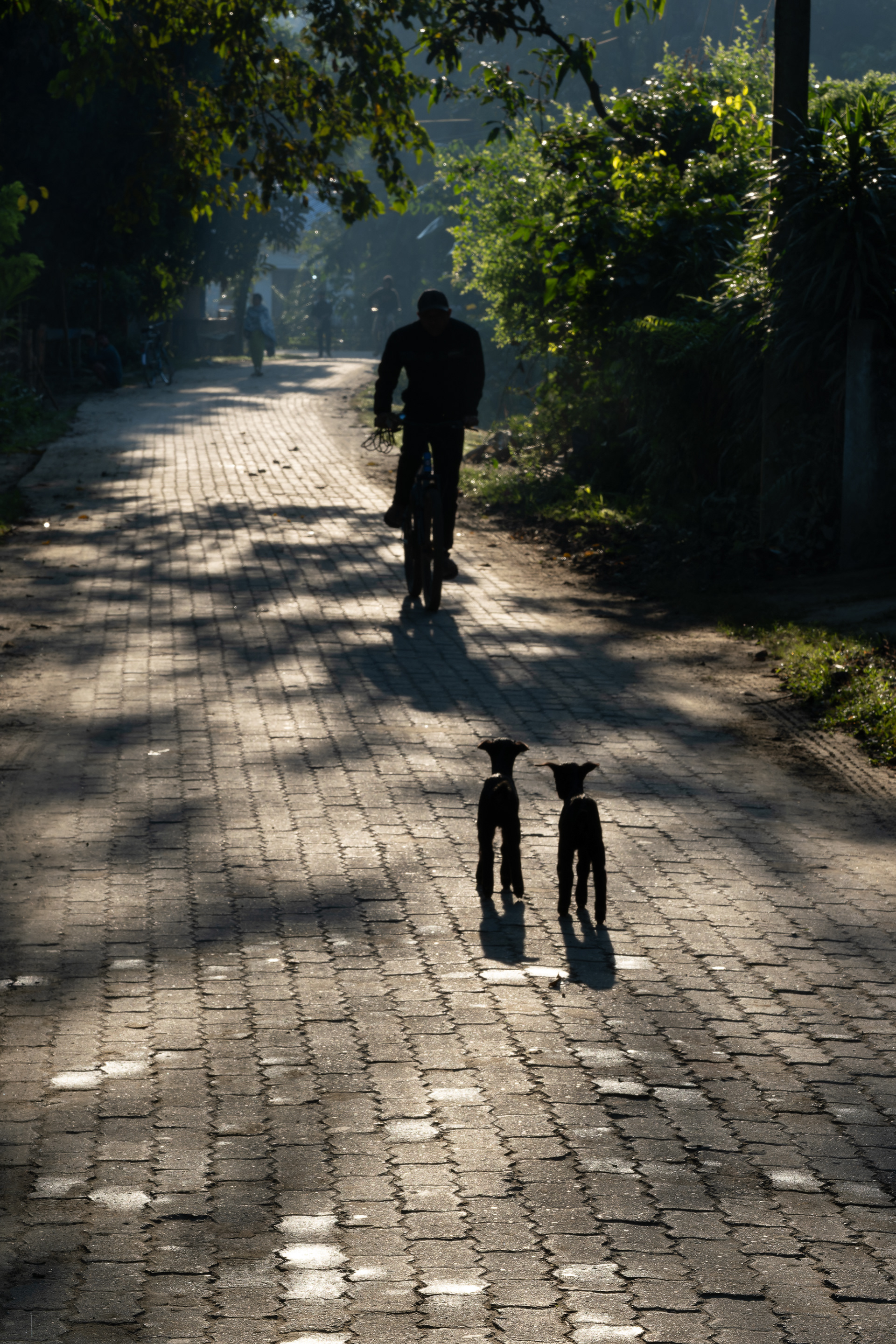Petit matin à Kaibortta sur l'ile de Majuli