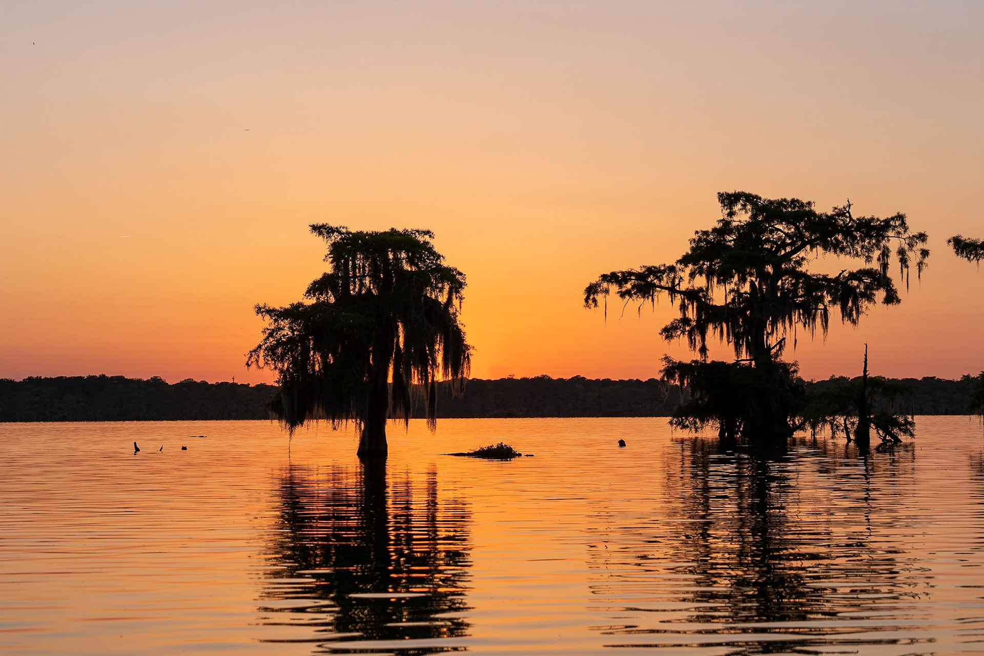 Coucher de soleil sur le Lac Martin