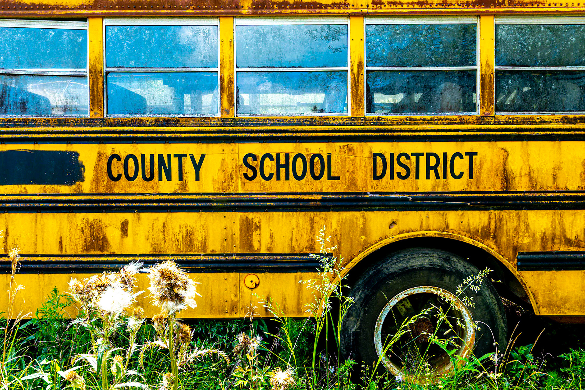 Ce vieux bus scolaire ne reprendra jamais du service mais finira sa vie dans sa décharge