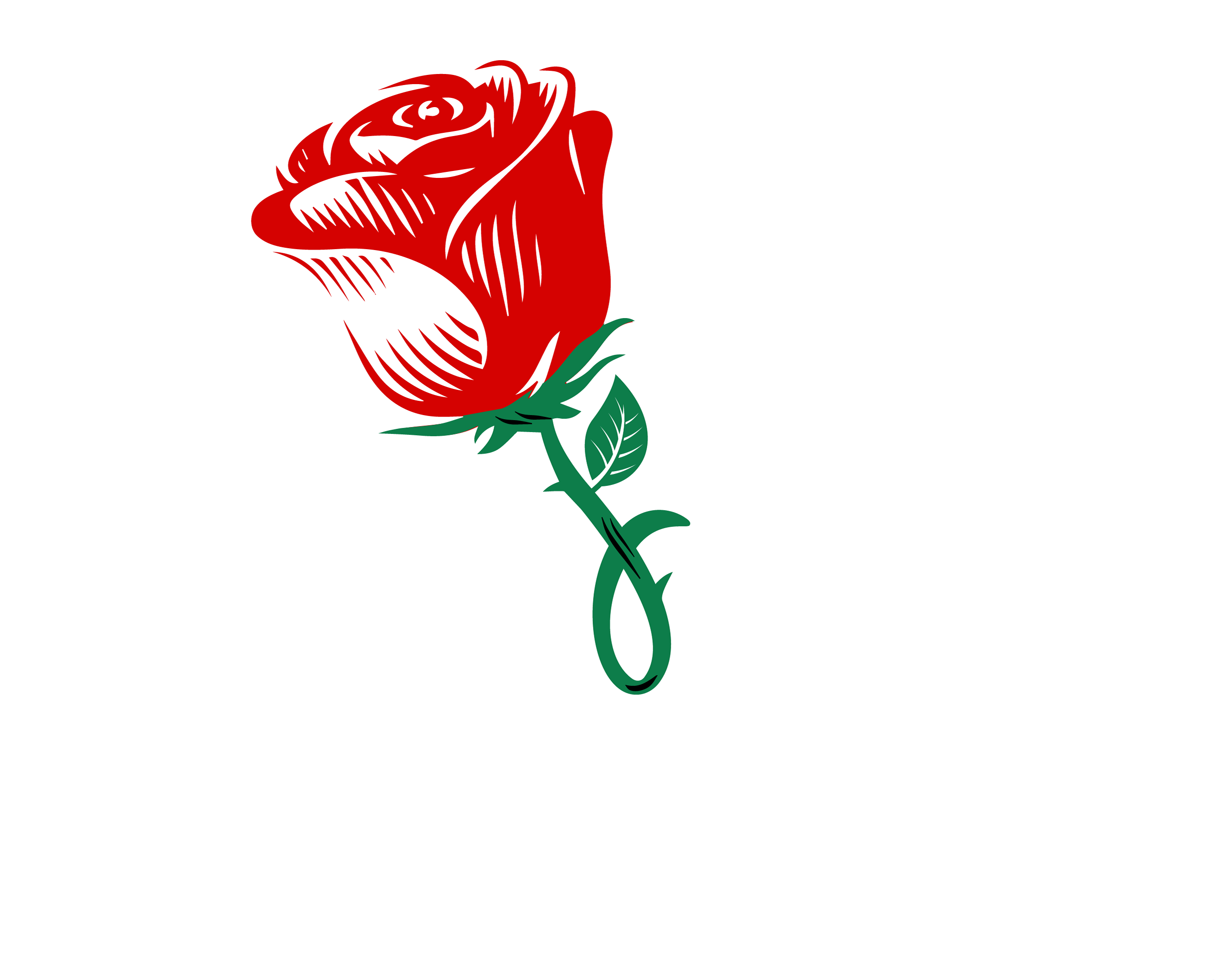 Rose Ray Media