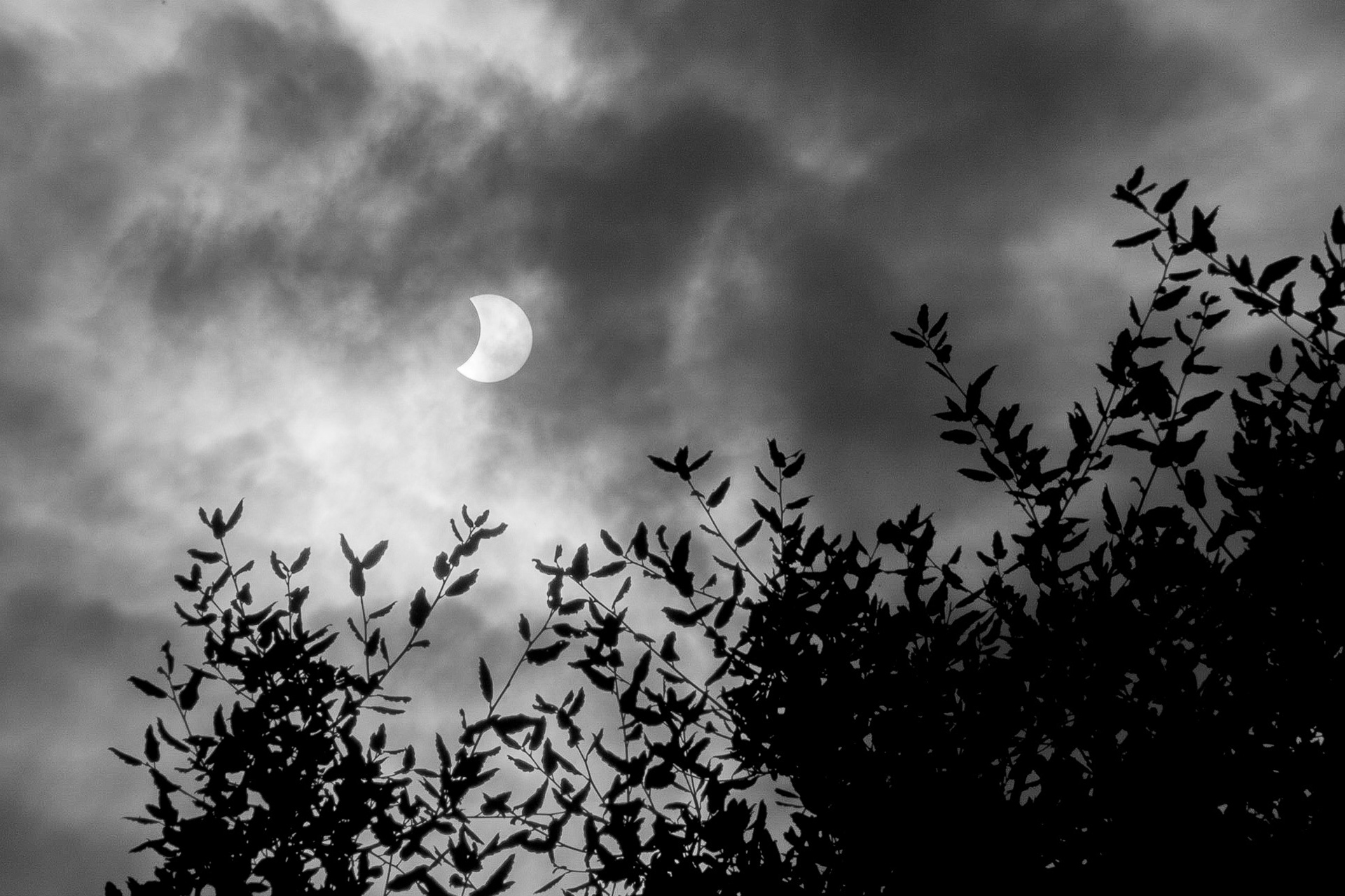 Mighty clouds, Mighty Sun, Mighty all