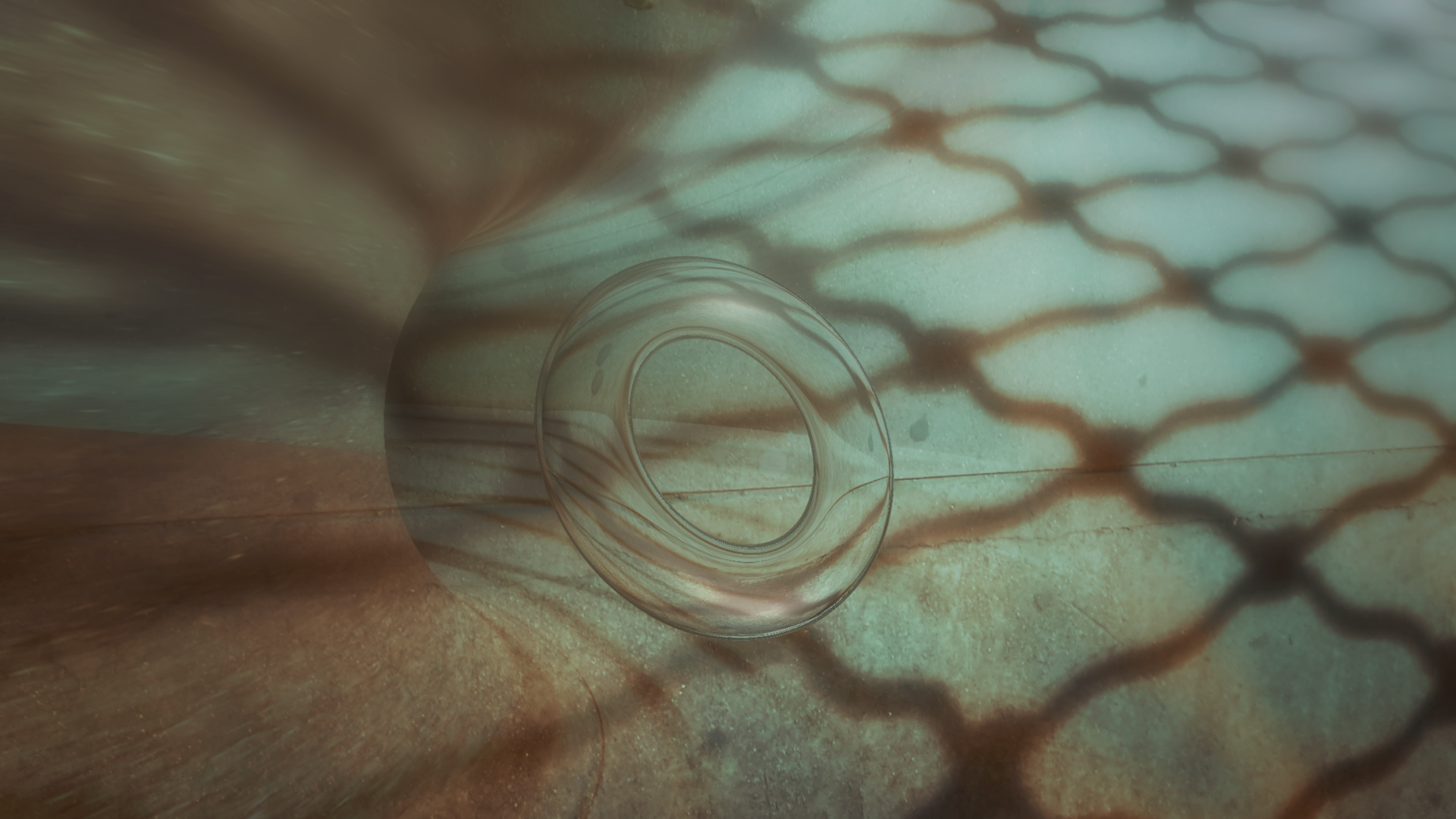 ncommensurable_frequencies_attractor_torus_1
