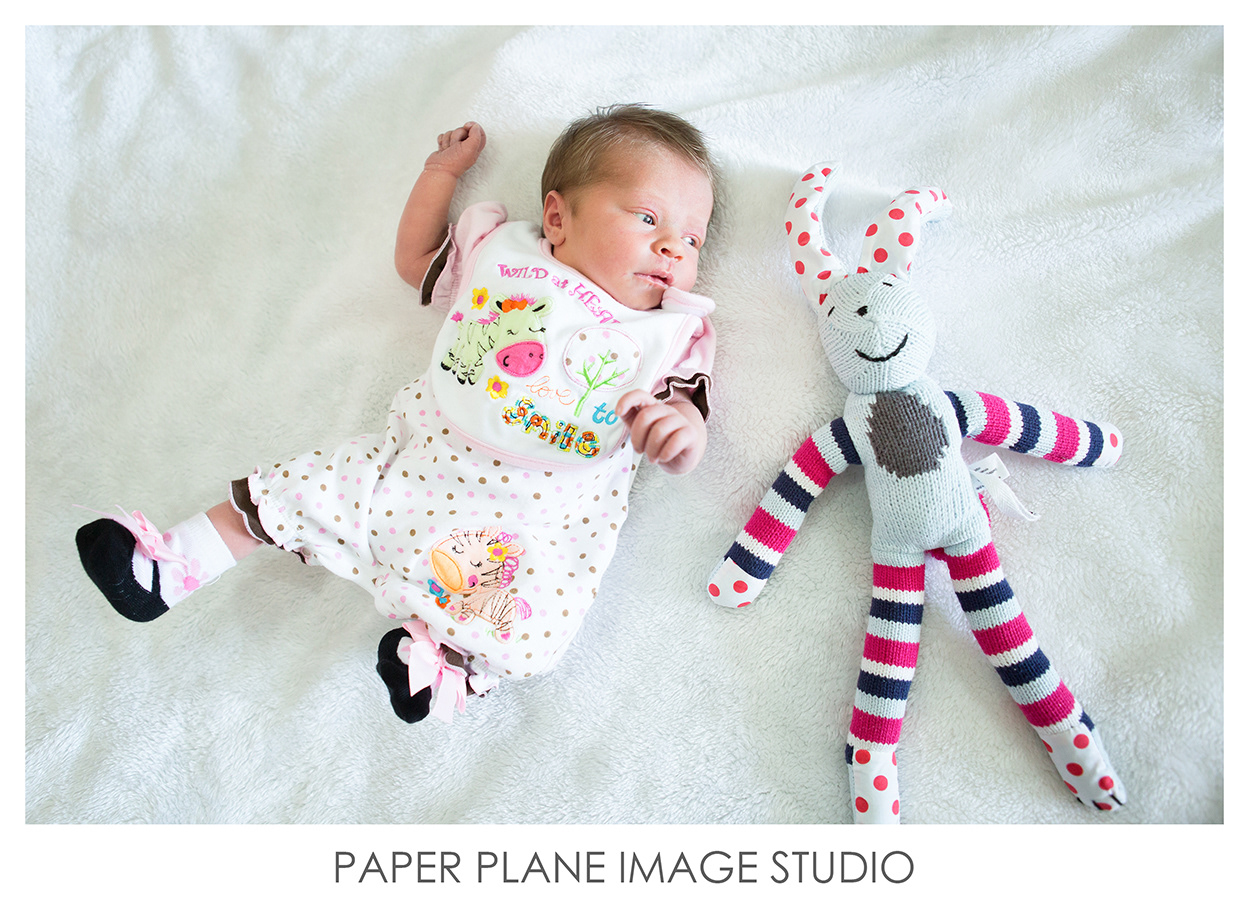 Cute Baby Photo, Baby Photo Shooting, Baby Photoshoot, Baby Photography Malaysia, Baby Studio Photography, Baby Photography Package Malaysia, Baby Photographer, Baby Portraits, Professional New Born Photography, Malaysia Professional Baby Photography, New Born Photoshoot, Creative Baby Photography, Malaysia New Born Photographer