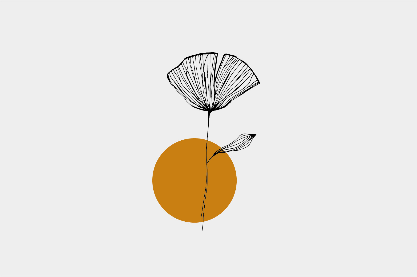 Ilustracja.