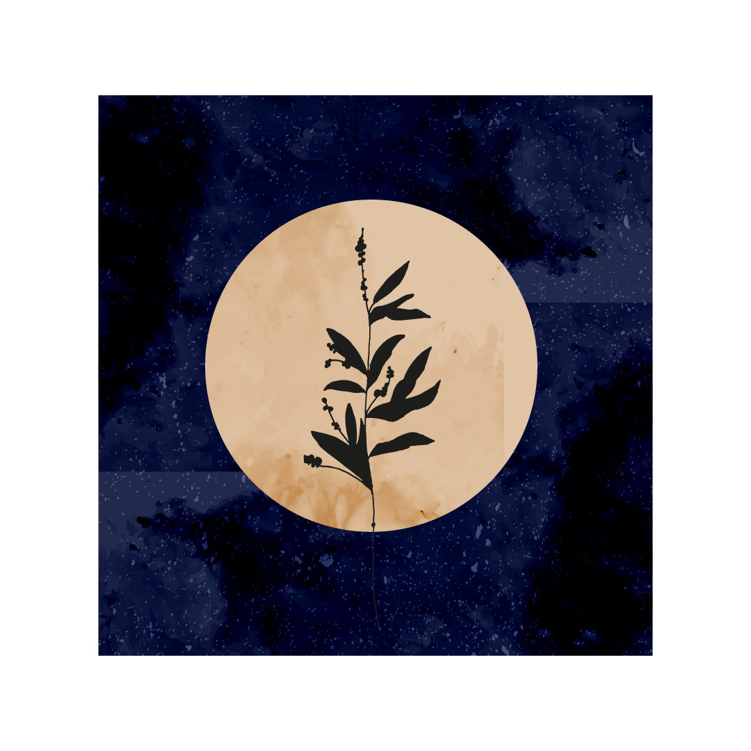 Ilustracja. Noc.