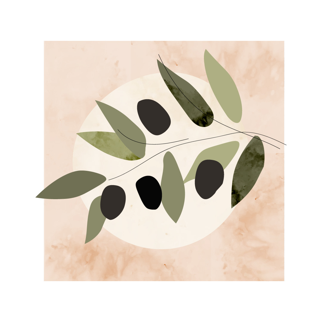 Ilustracja. Oliwki.