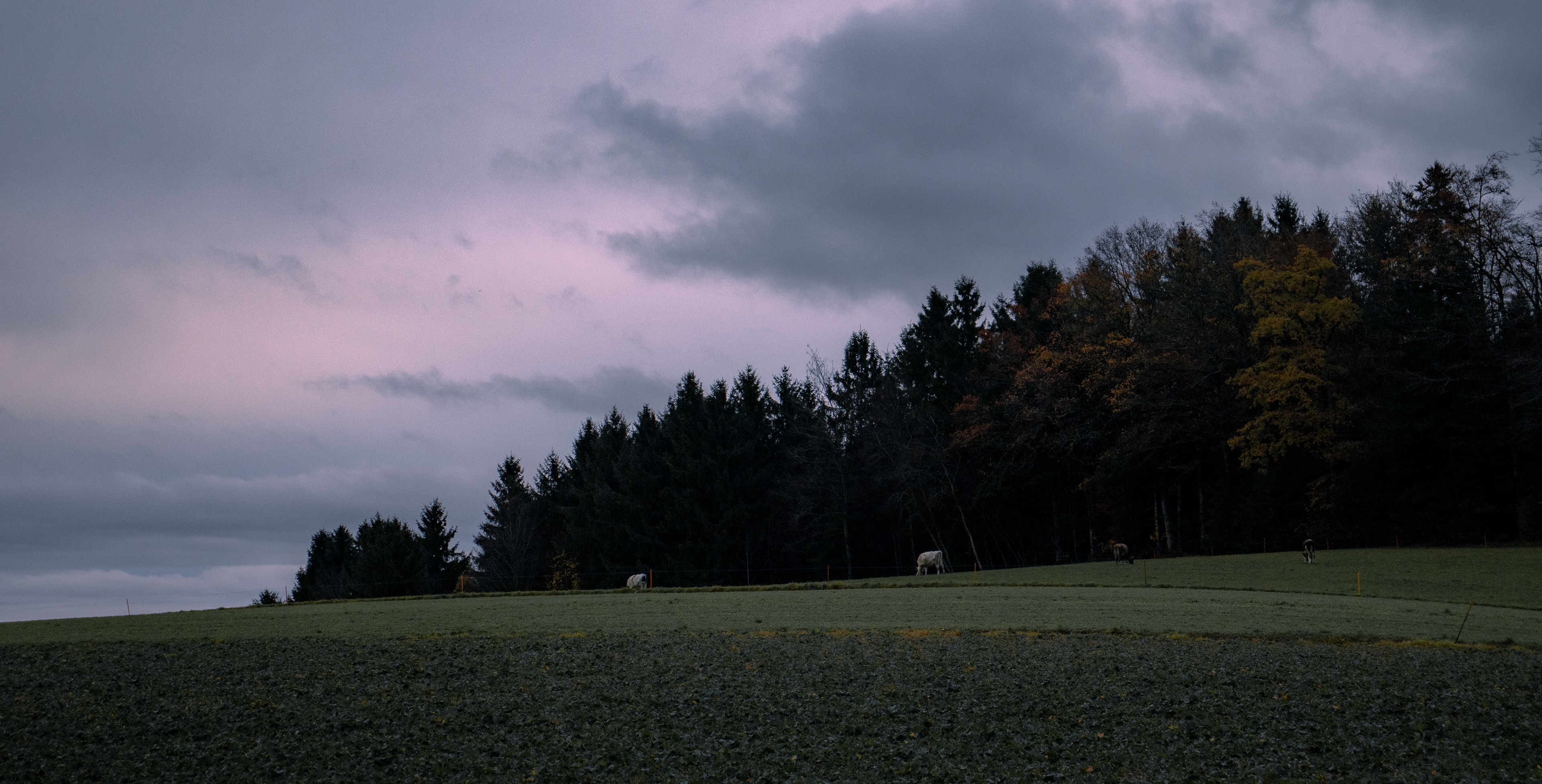 Säriswil, Switzerland