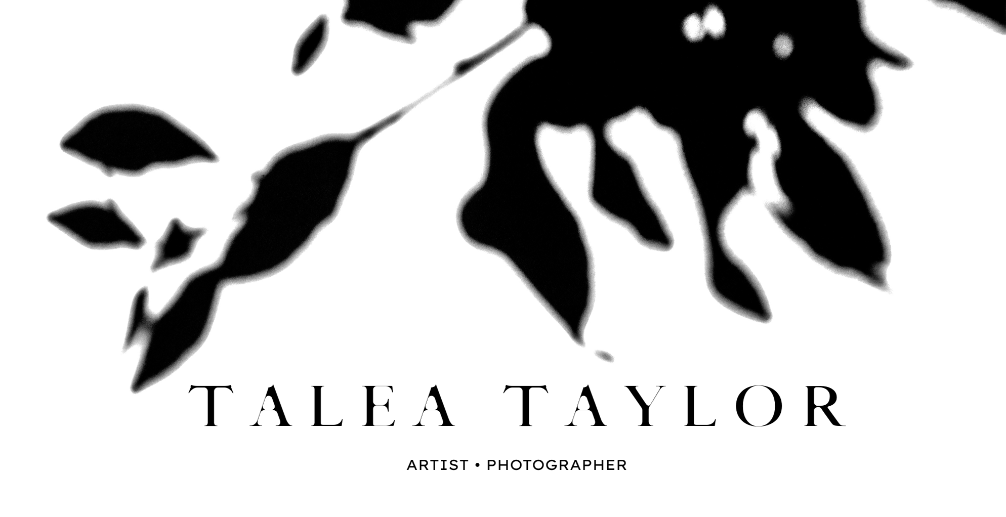 Talea Taylor Artist Photographer