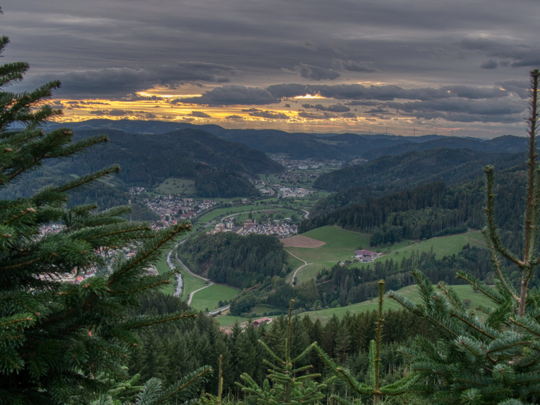 Ausblick vom Spitzfelsen über Hausach