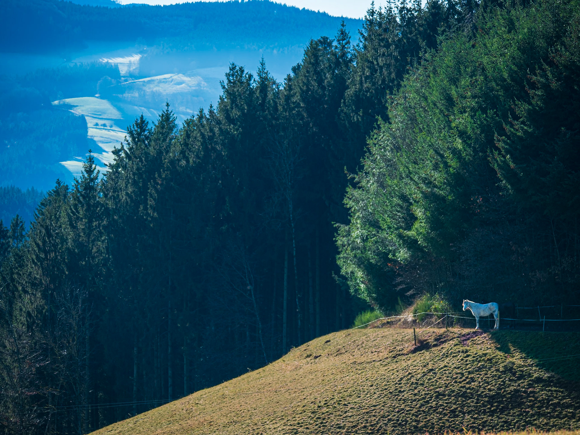 Mühlenbach - Blick Richtung Prechtal