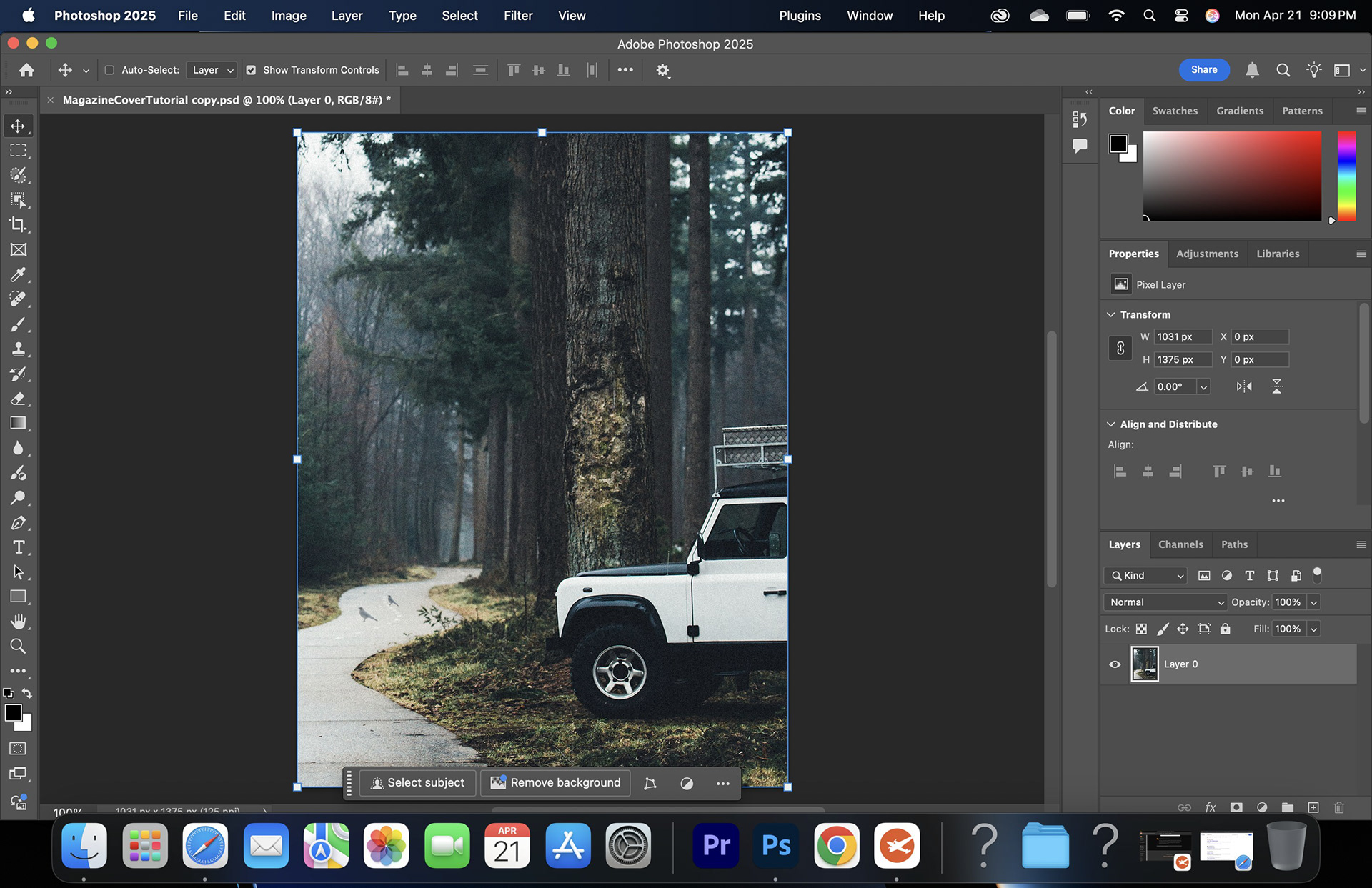 Visual Graphics with Adobe Illustrator 2025