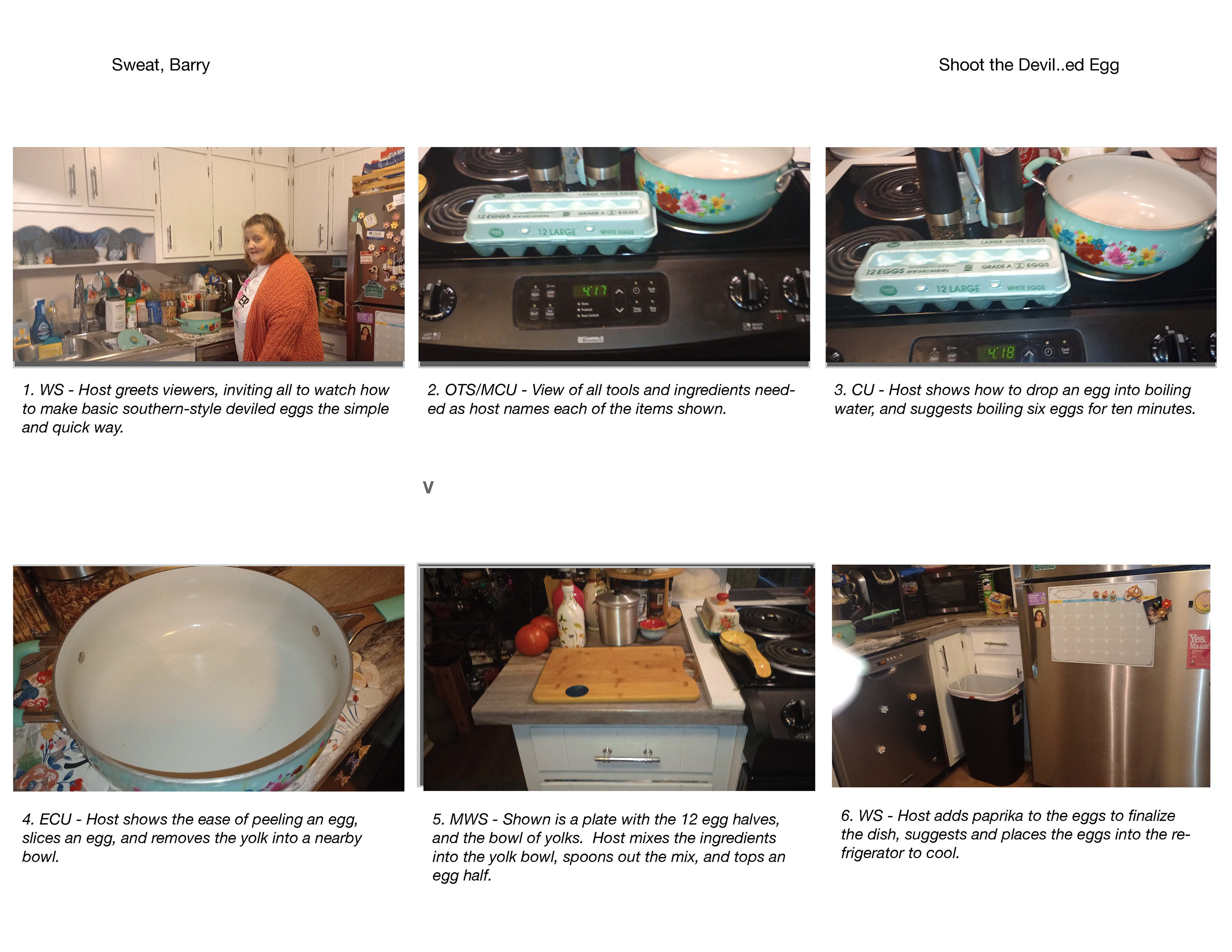Six Shot Storyboard with Shot Types for Instructional Video