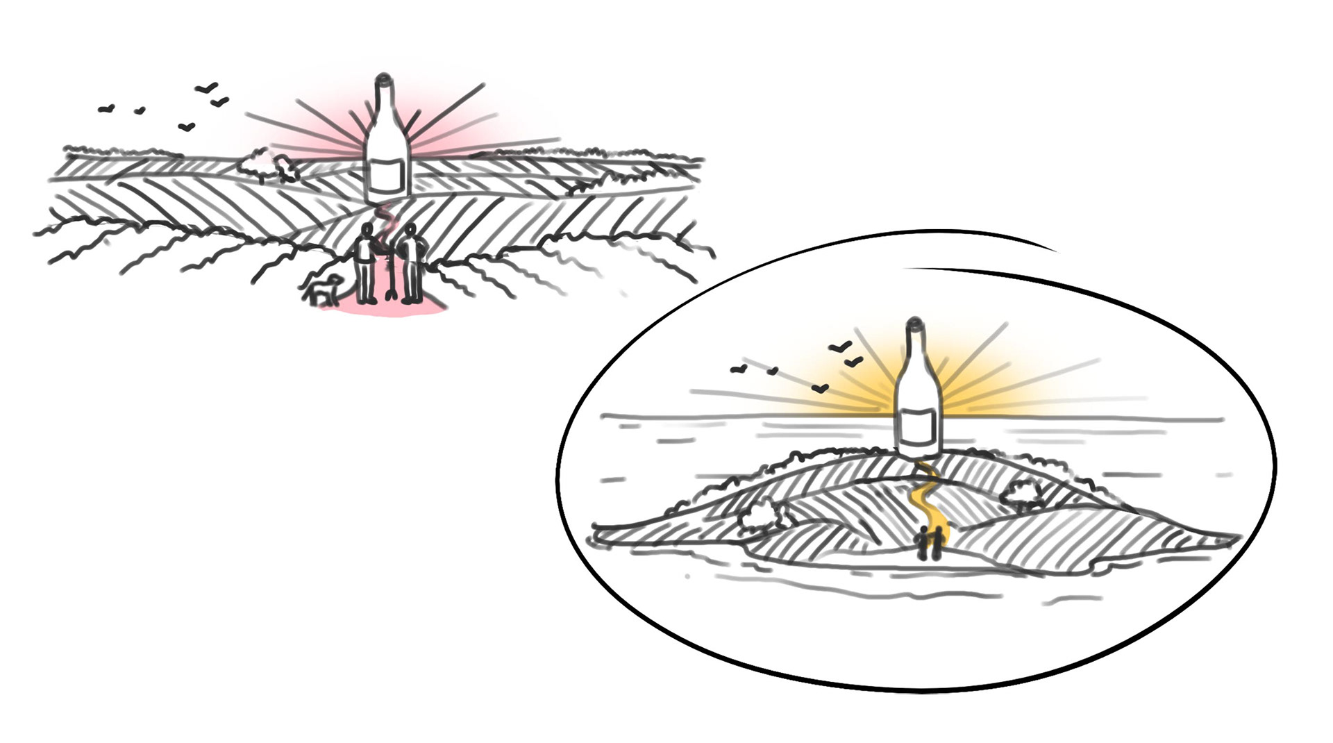 Croquis de paysages de vignes idylliques pour une étiquette de bouteille de vin