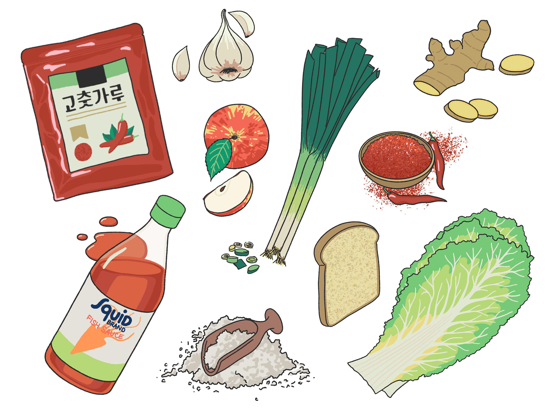Illustration d'ingrédients comme le chou chinois, le piment en poudre gochugaru et l'ail