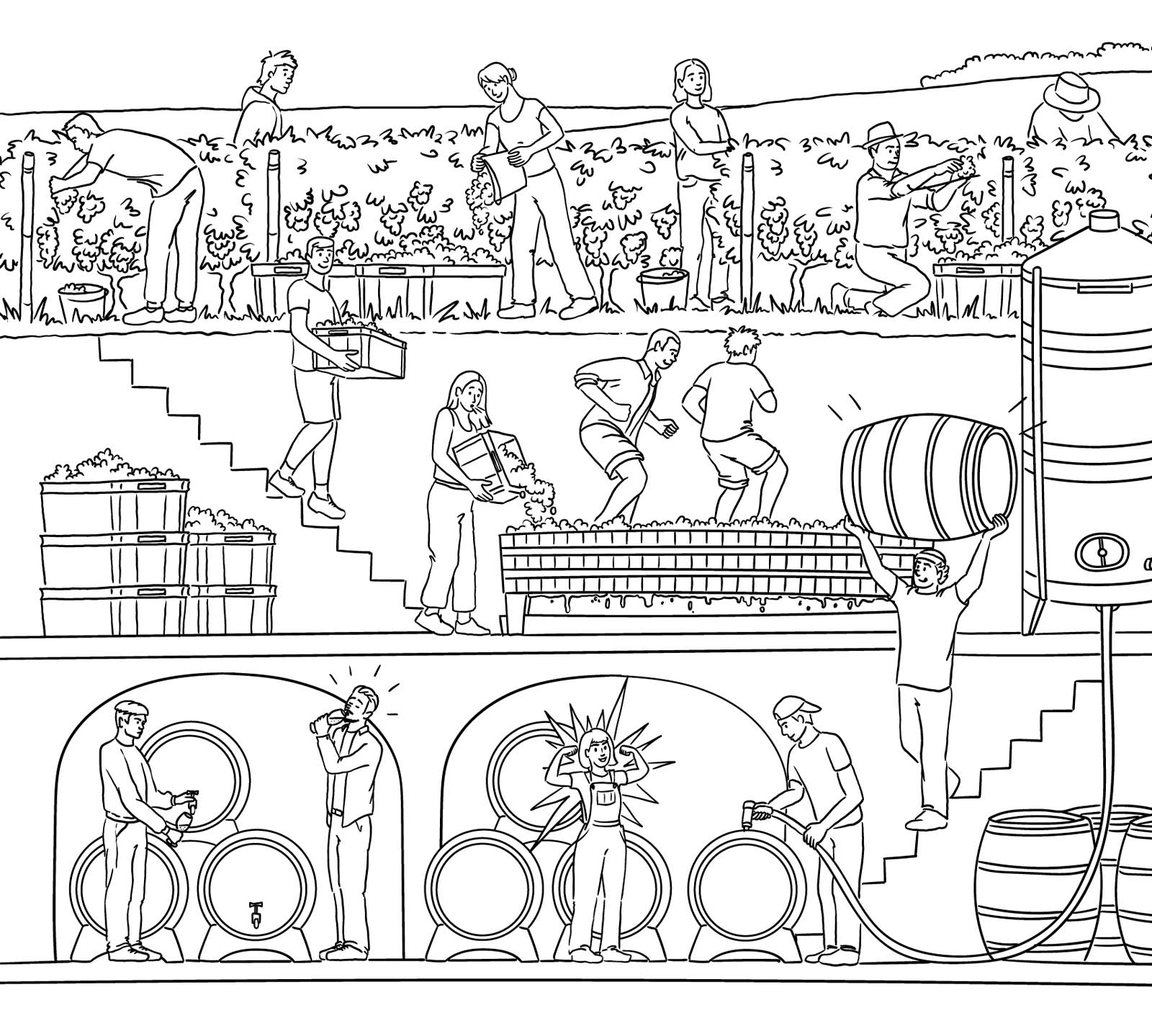 Illustration de personnages aux différentes étapes de la production du vin