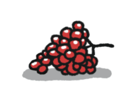 Illustration d'une grappe de raisin